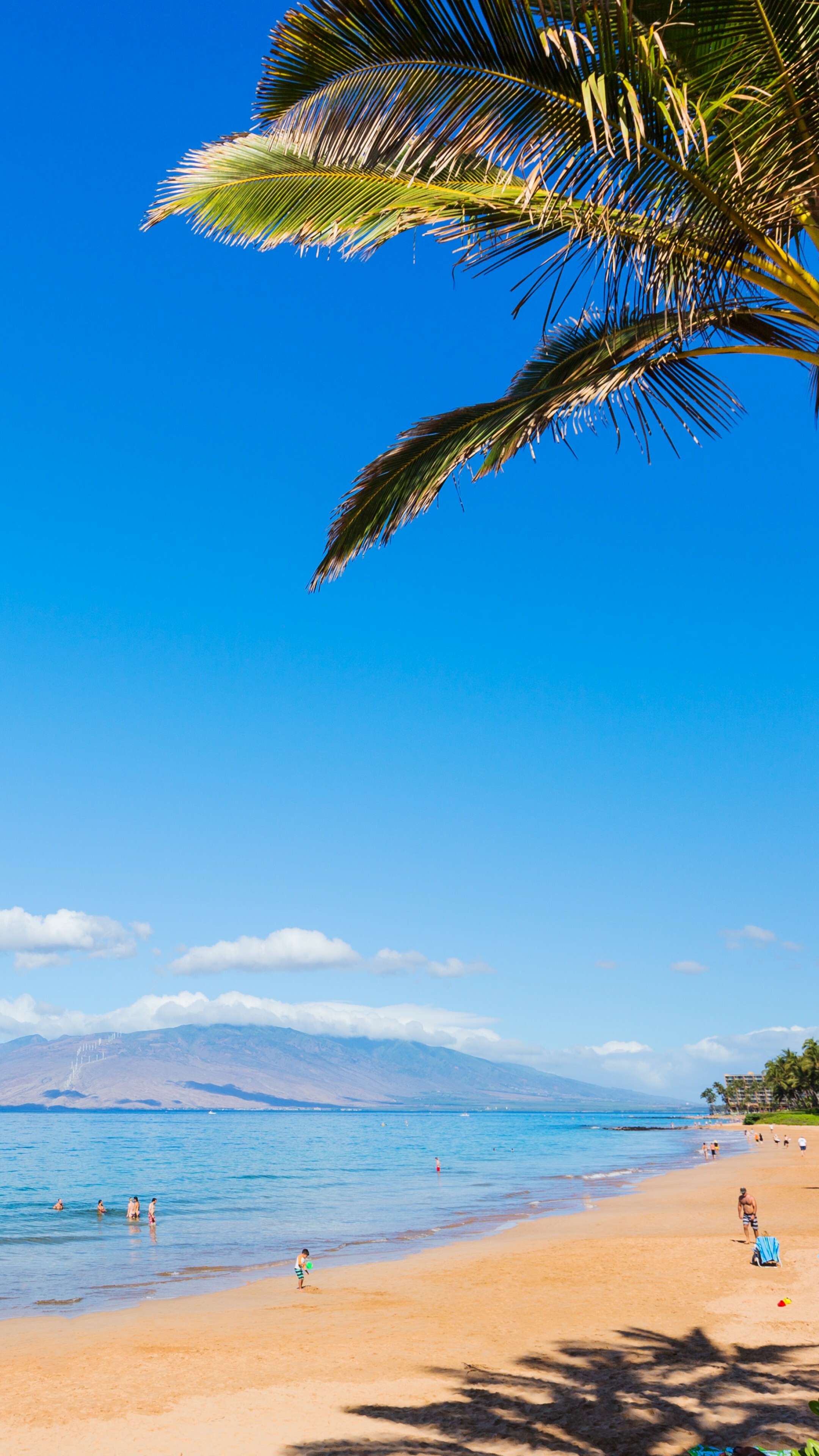 Maui, Hawaii, Beach paradise, Nature's beauty, 2160x3840 4K Phone