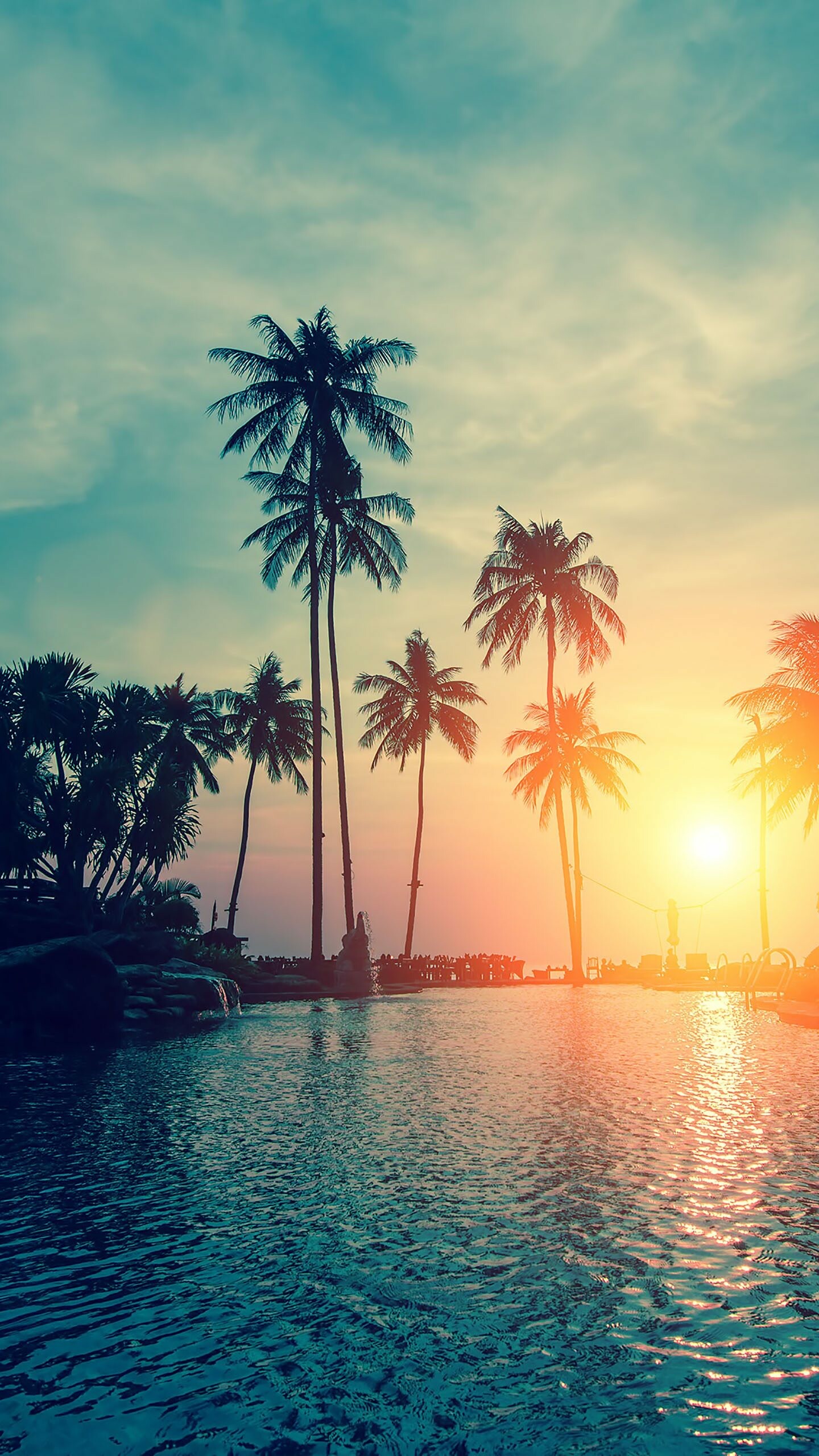 Orange sun, Green 4k, Palm trees, Best wallpapers, 1440x2560 HD Phone