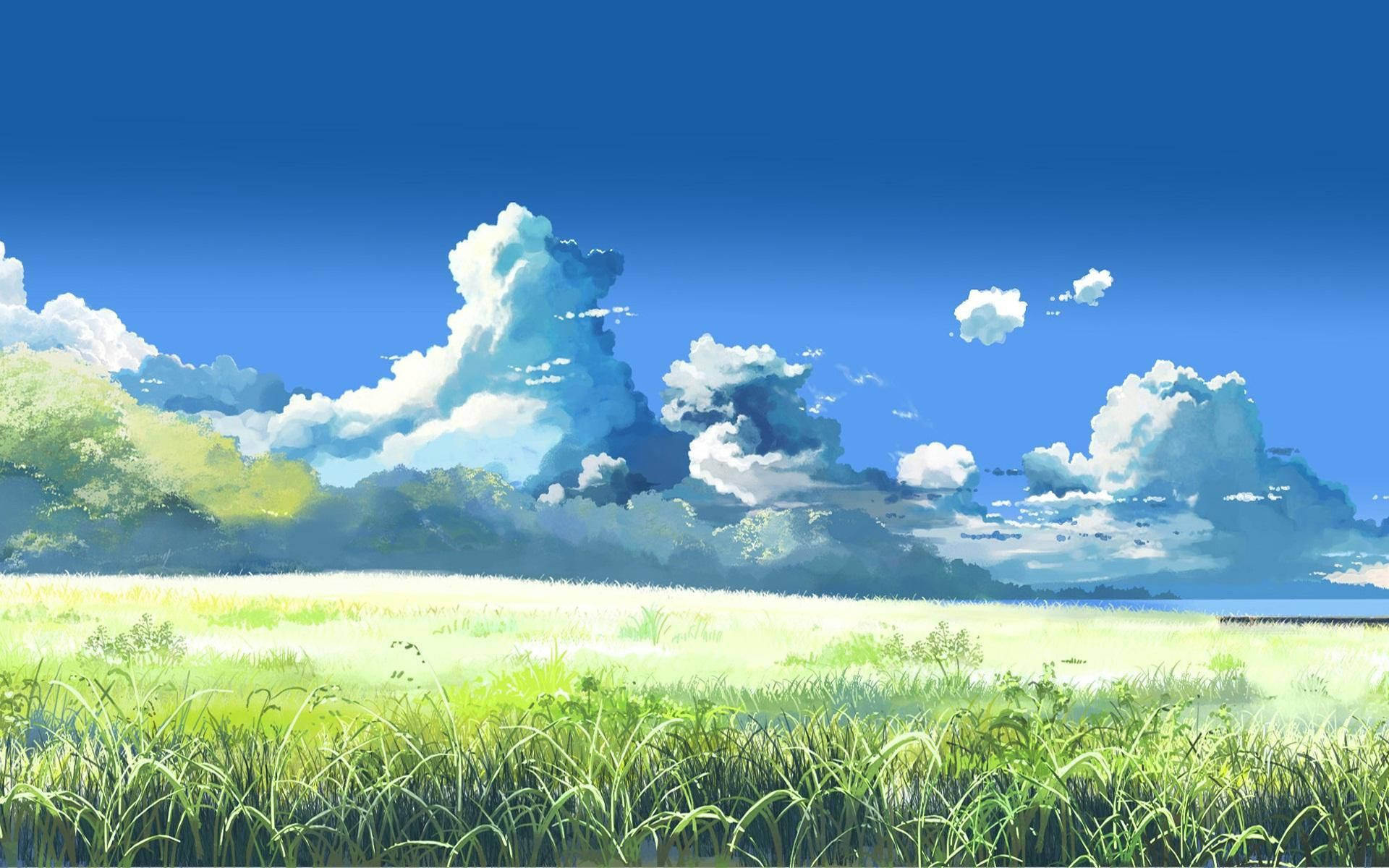 towering cumulus clouds, sunlit grassy meadow, clear blue summer sky, HD Desktop wallpaper
