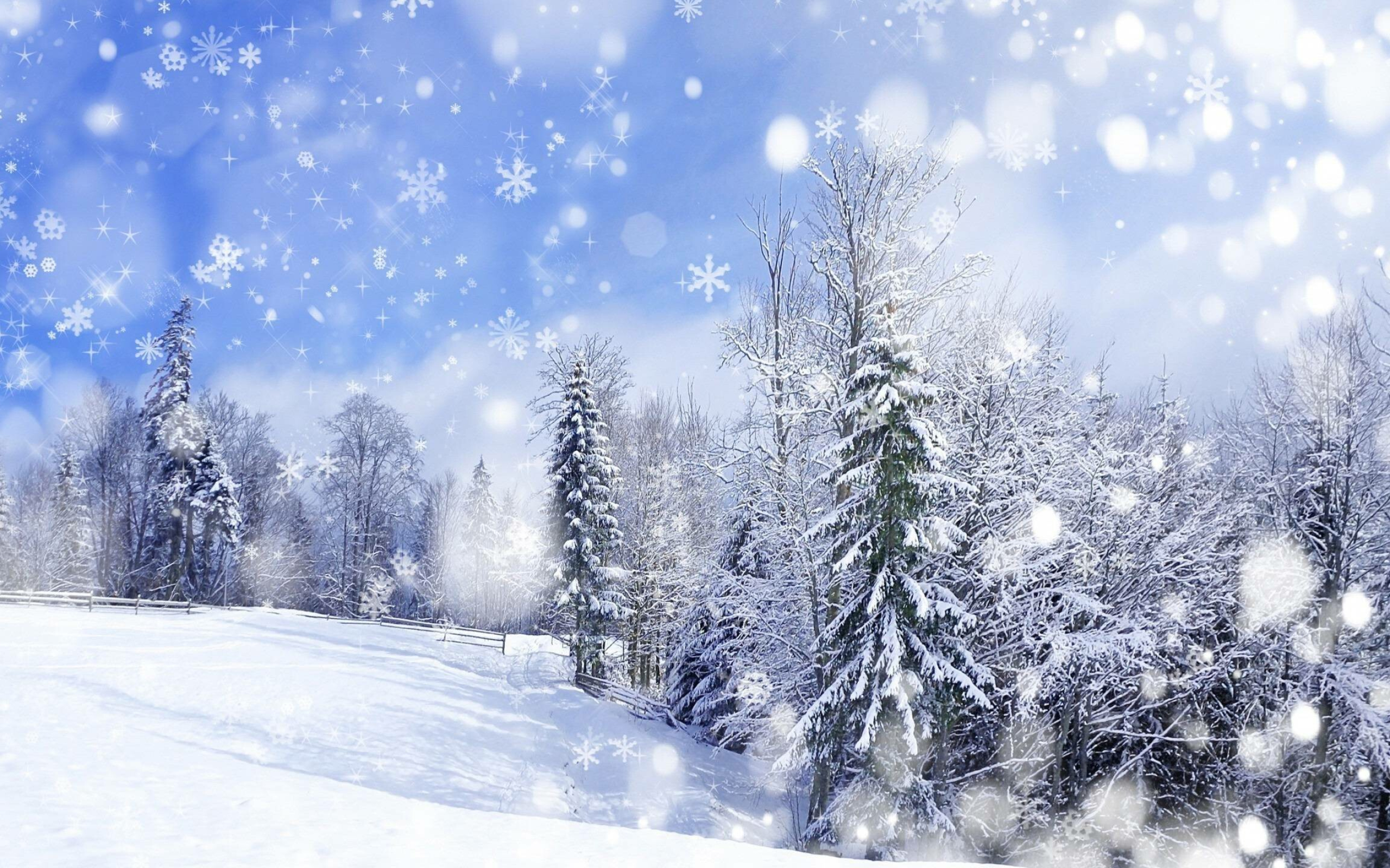 Snowfall, Winter wonderland, Frosty beauty, Nature's icy touch, 2560x1600 HD Desktop