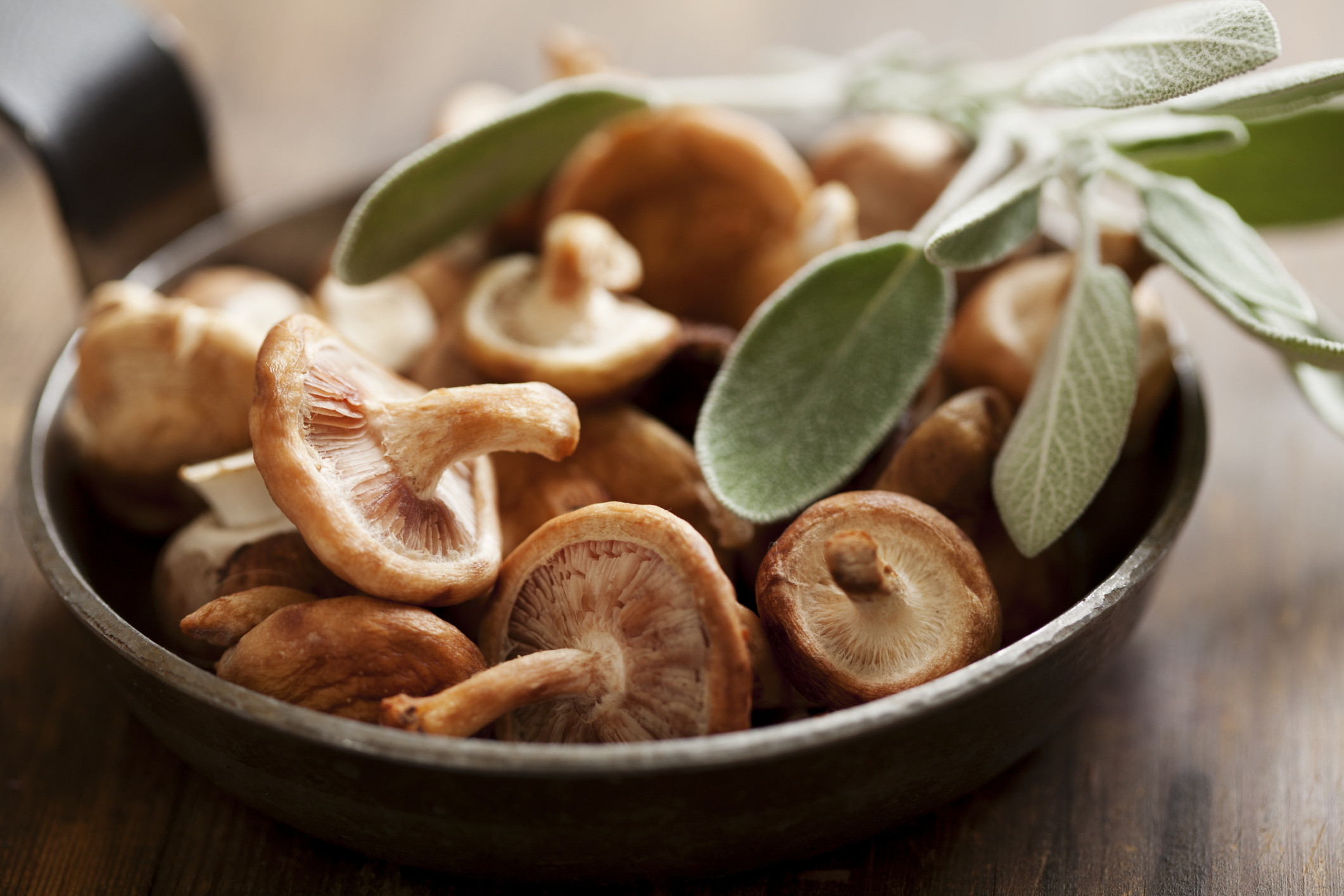 Shiitake mushroom preservation, Drying techniques, Step-by-step guide, Long-lasting nourishment, 2130x1420 HD Desktop