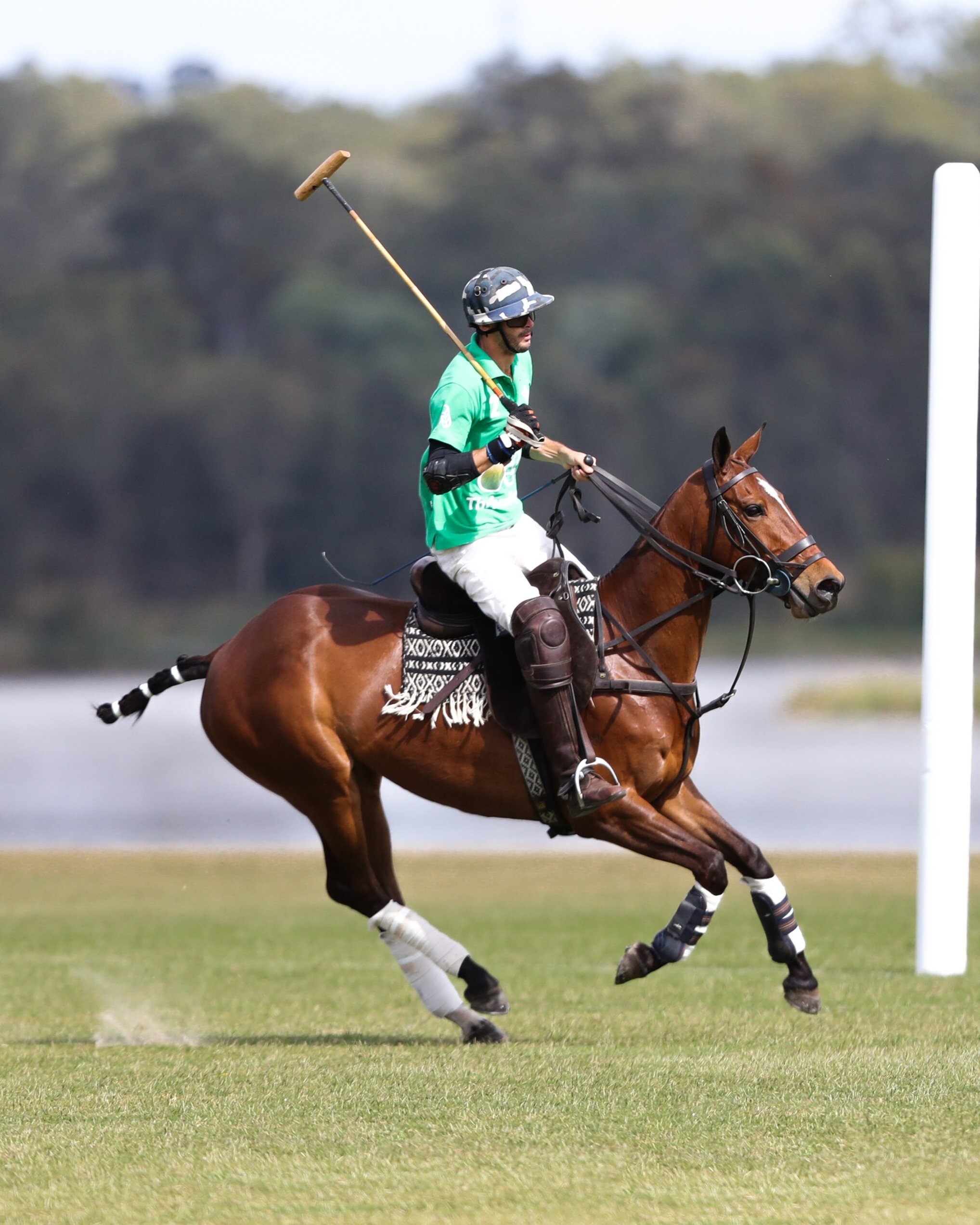 Queensland World Cup Show, Horse Polo Wallpaper, 2040x2550 HD Phone