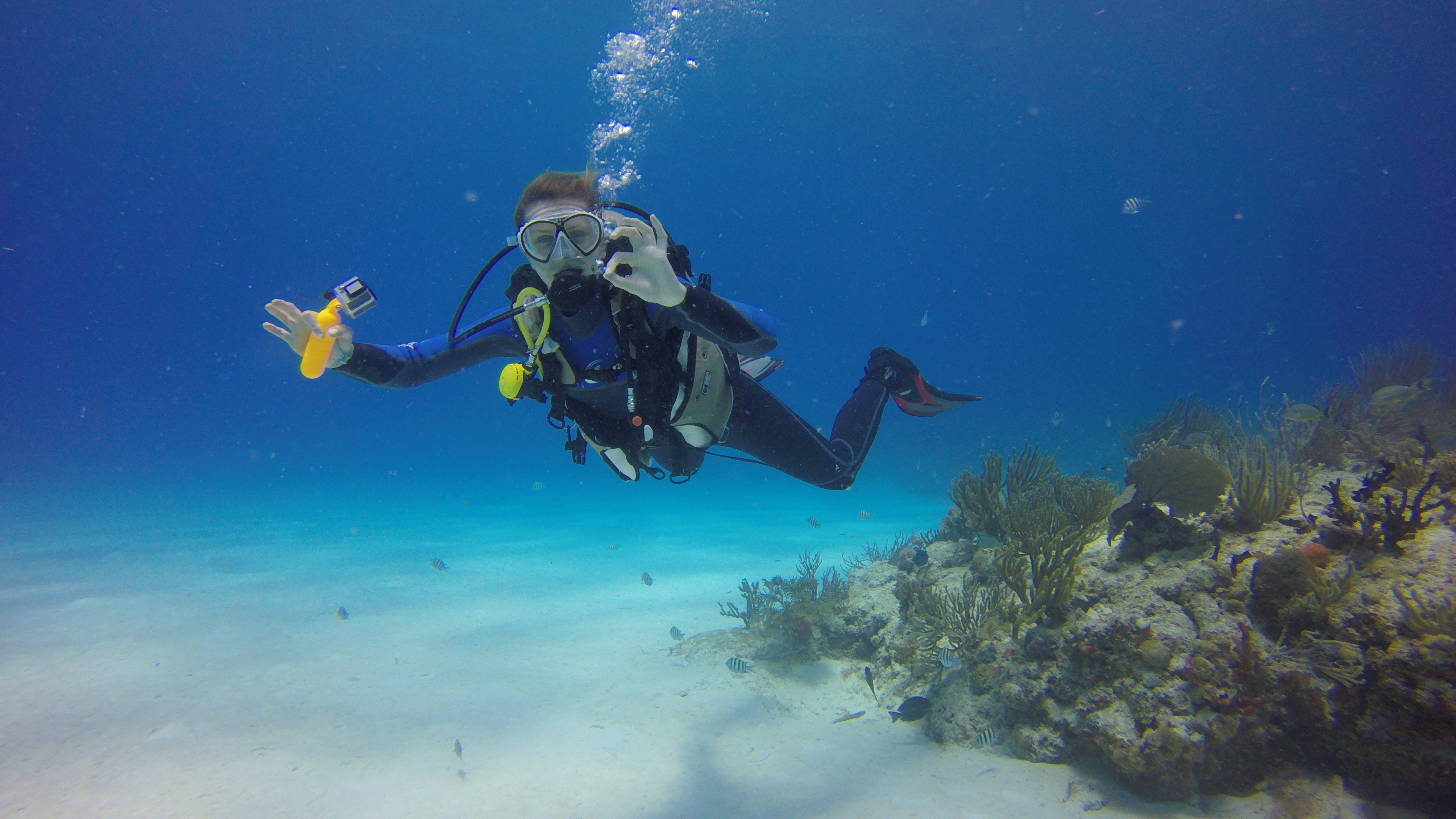 Scuba10, Deepblu community, Dive enthusiasts, Scuba diving, 3840x2160 4K Desktop