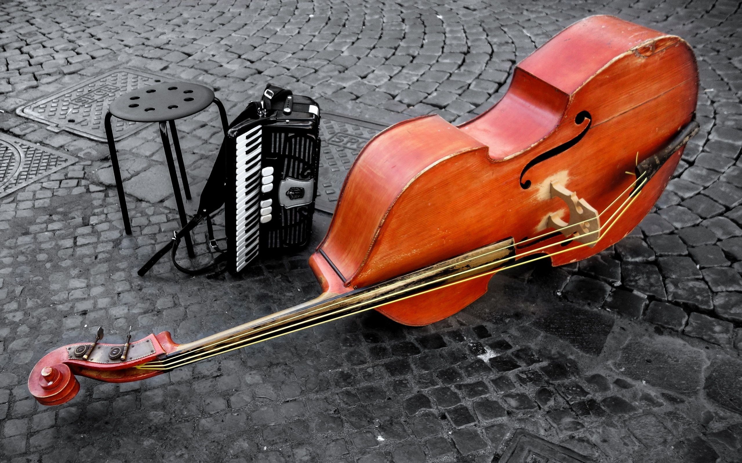 Double bass wallpapers, Top free backgrounds, Bassist's delight, Visual inspiration, 2560x1600 HD Desktop