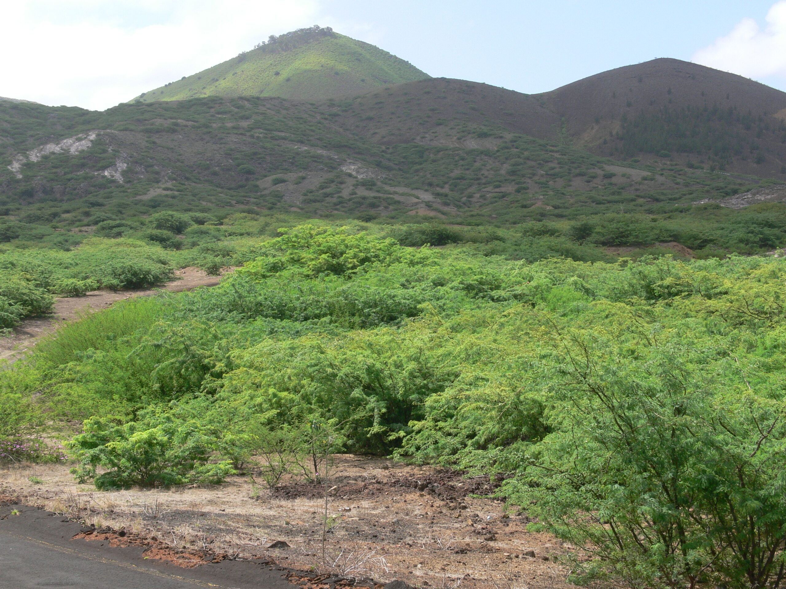 Ascension Island, Environmental conservation, Unique ecosystems, Invasive species, 2560x1920 HD Desktop