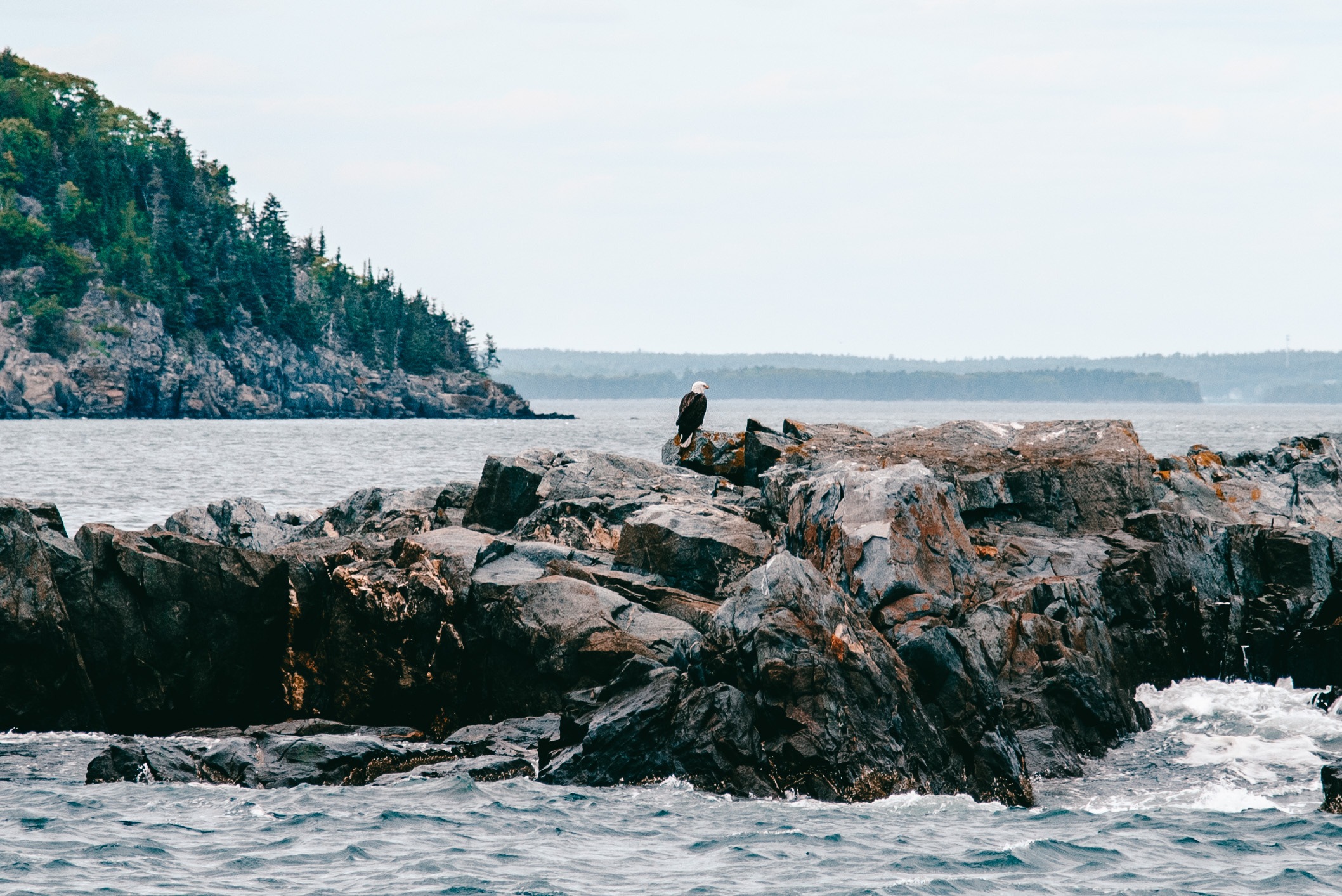 Bar Harbor itinerary, Bangor & Bar Harbor, Maine, Mel Vandersluis, 2120x1420 HD Desktop