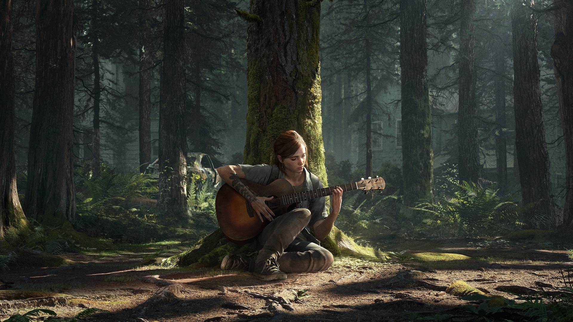 Ellie Williams, acoustic guitar, mossy pine forest, Full HD Desktop wallpaper