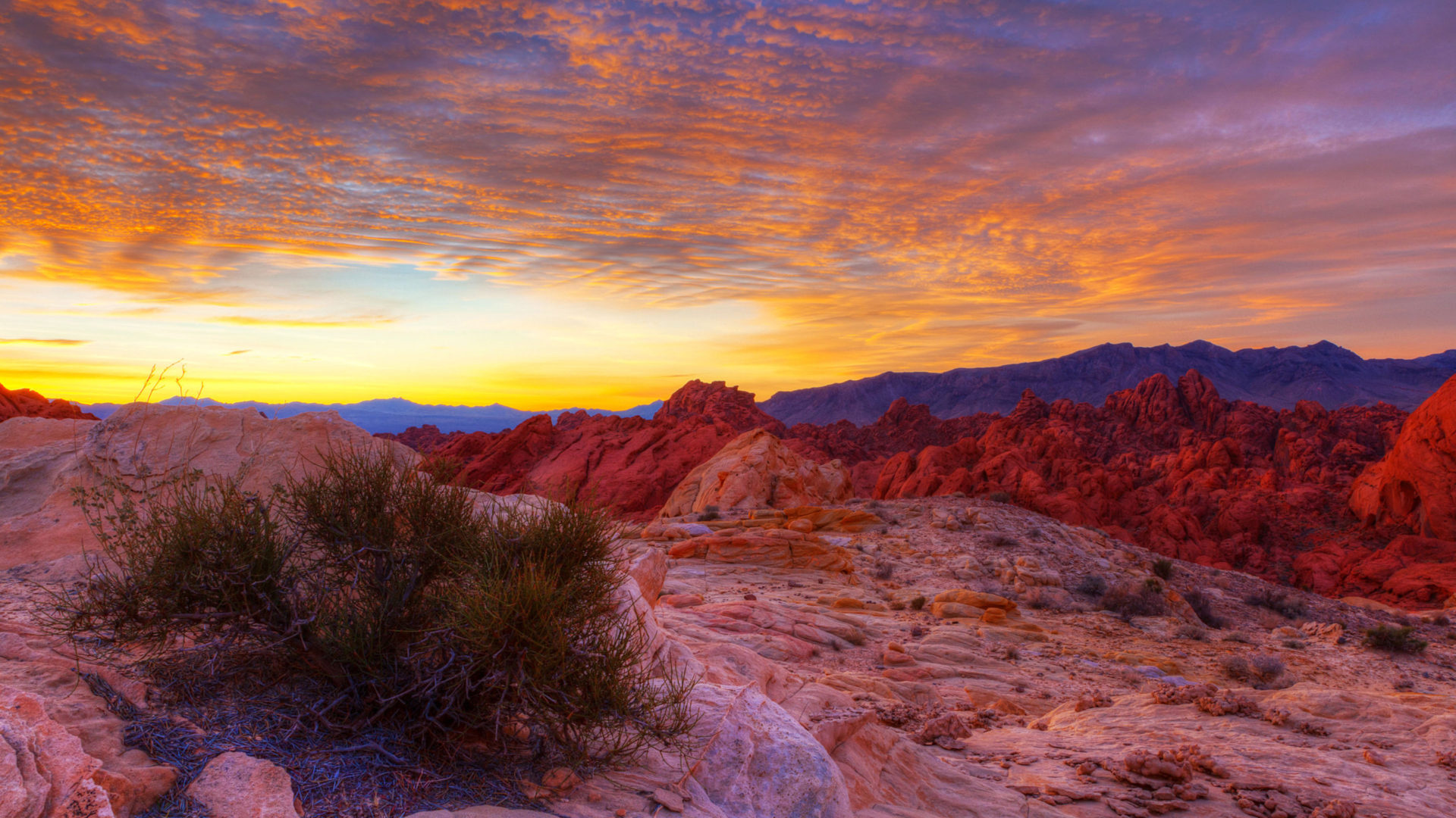 Nevada Wallpapers 41 Images WallpaperCat Nevada Wallpapers 41 Images WallpaperCat