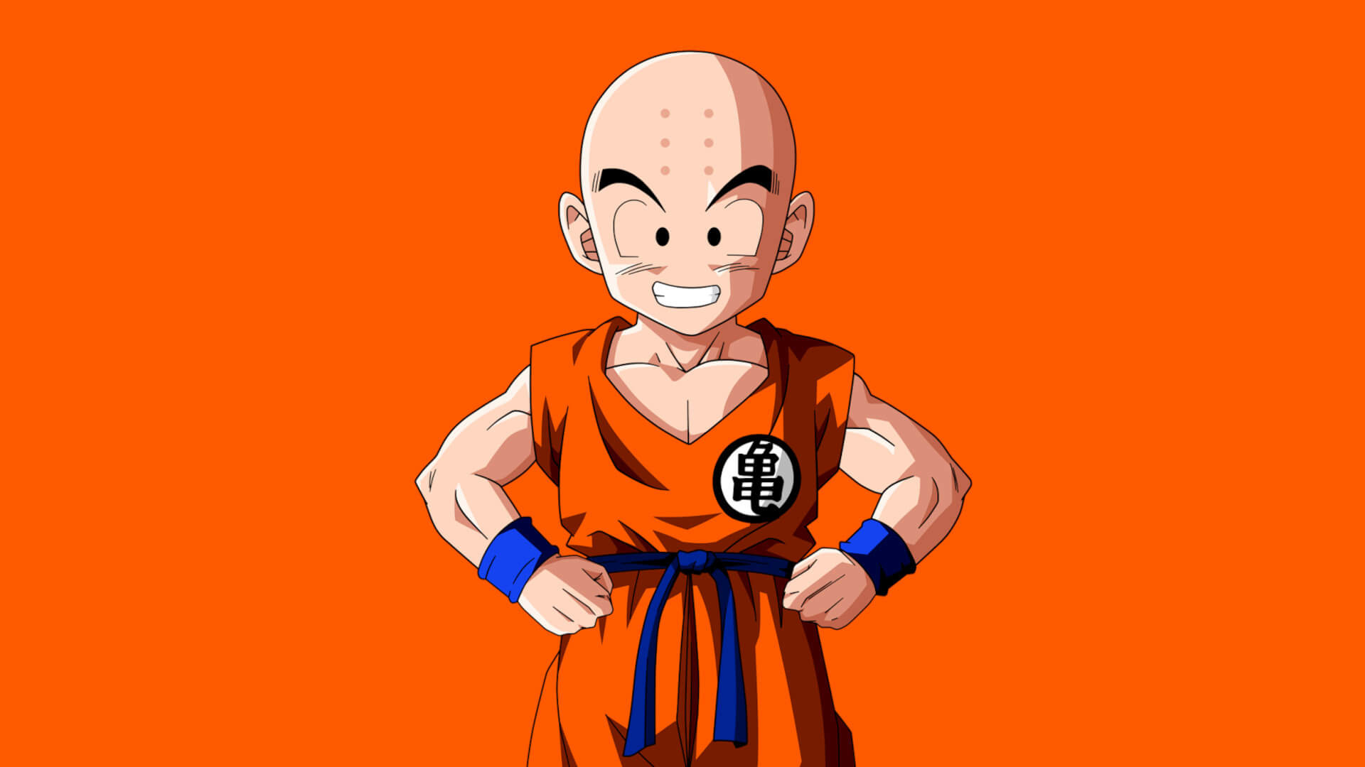 How old, Krillin, Dragon Ball Guru, 1920x1080 Full HD Desktop