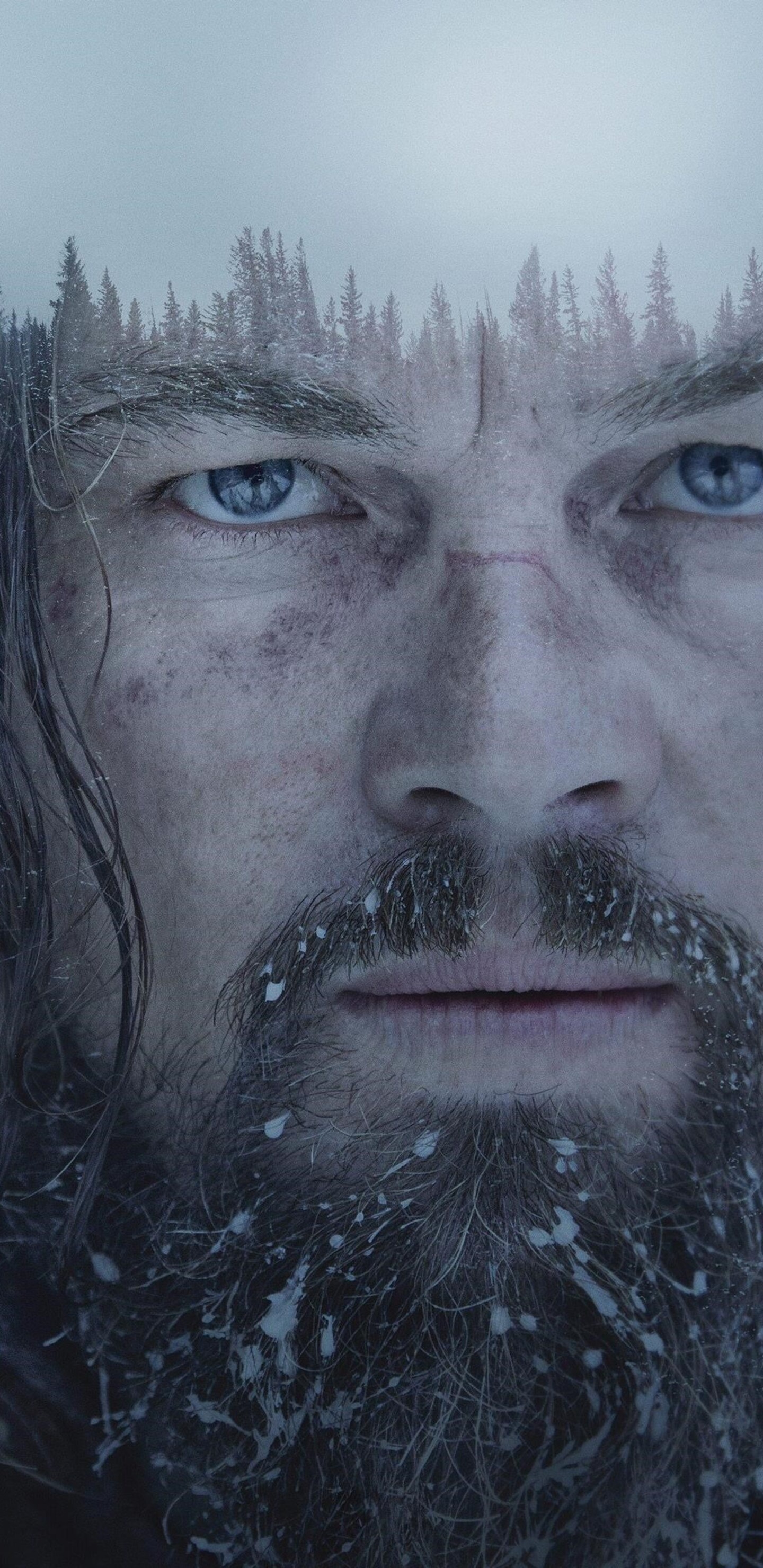 The Revenant movie, HD wallpapers, Samsung Galaxy, Stunning visuals, 1440x2960 HD Phone