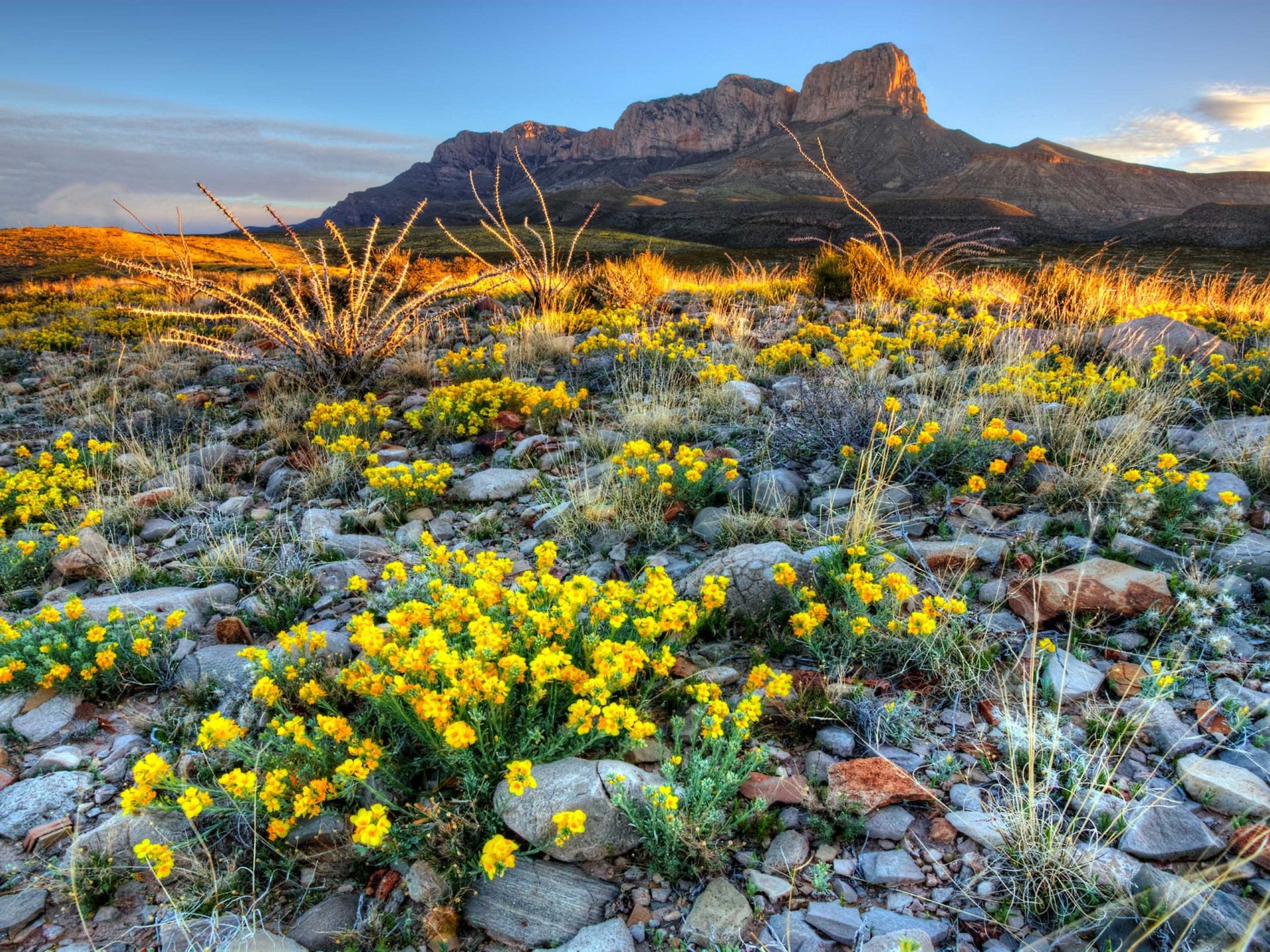 Guadalupe National Park, Texas wildlife, Spring wildflowers, Natural wonders, 1920x1440 HD Desktop