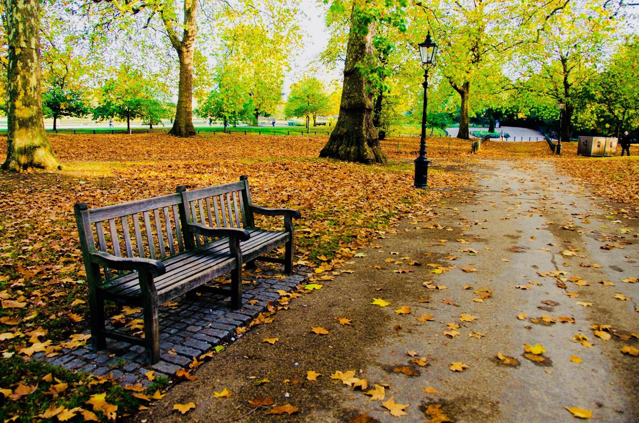 Hyde Park London, Park bench, Autumn memories, Ritookapicture, 2050x1360 HD Desktop