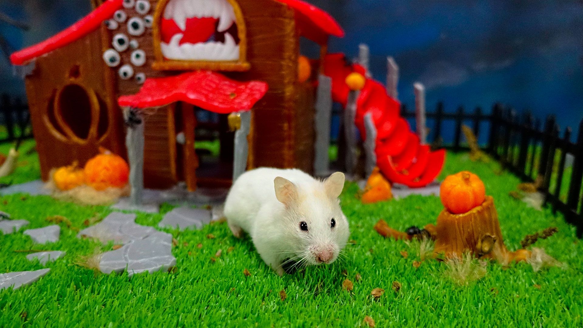 Halloween, Hamsters Wallpaper, 1920x1080 Full HD Desktop