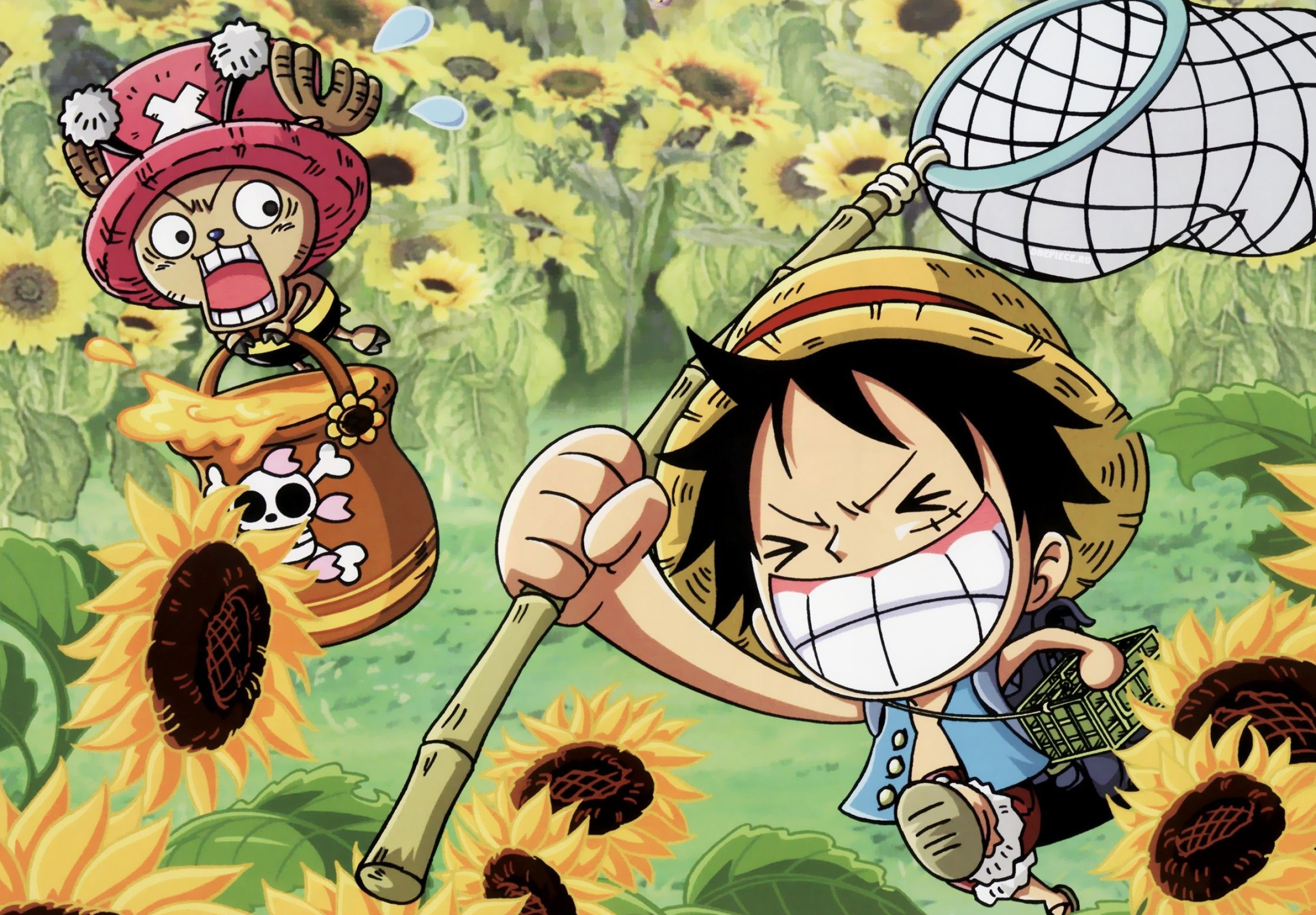 Chibi Monkey D. Luffy, Chibi Tony Tony Chopper, Sunflower field, HD Desktop wallpaper