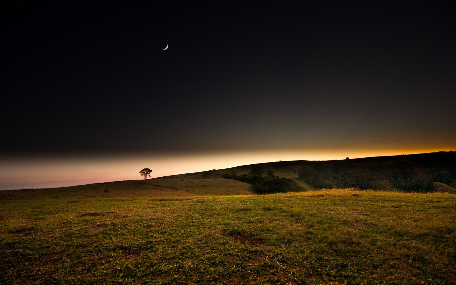 crescent moon, lone tree on hill, twilight horizon glow, HD Desktop wallpaper