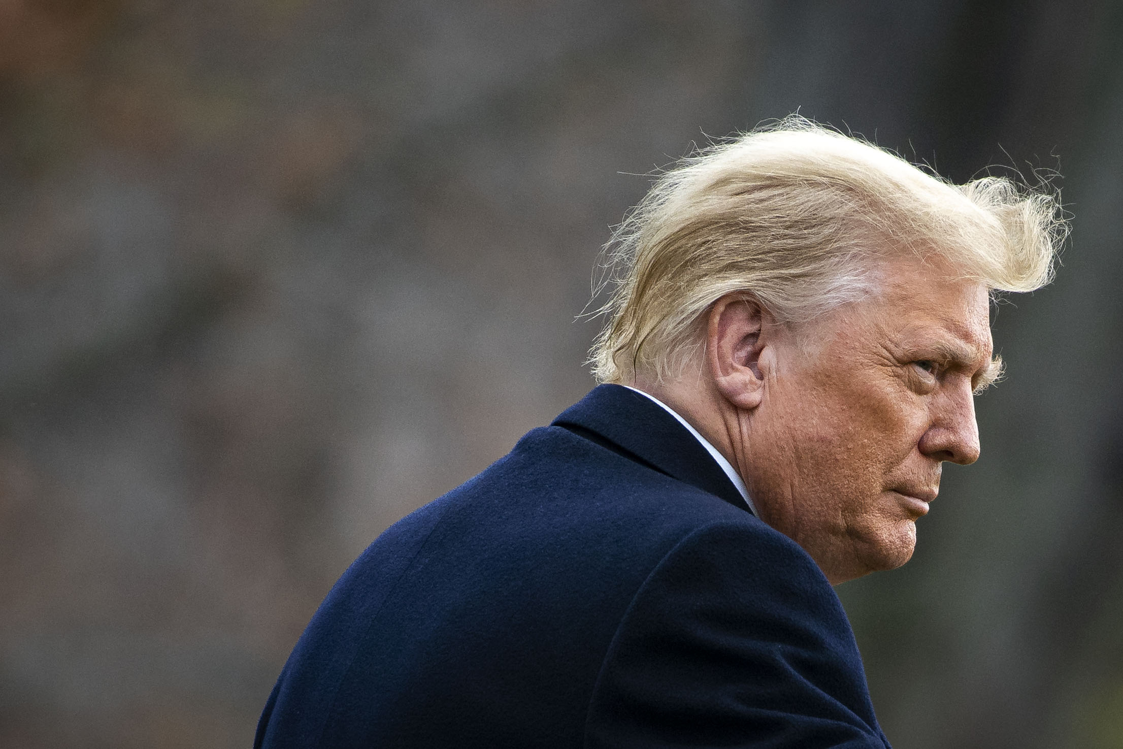 Donald Trump, Dark navy overcoat, Windblown blonde hair, HD Desktop wallpaper