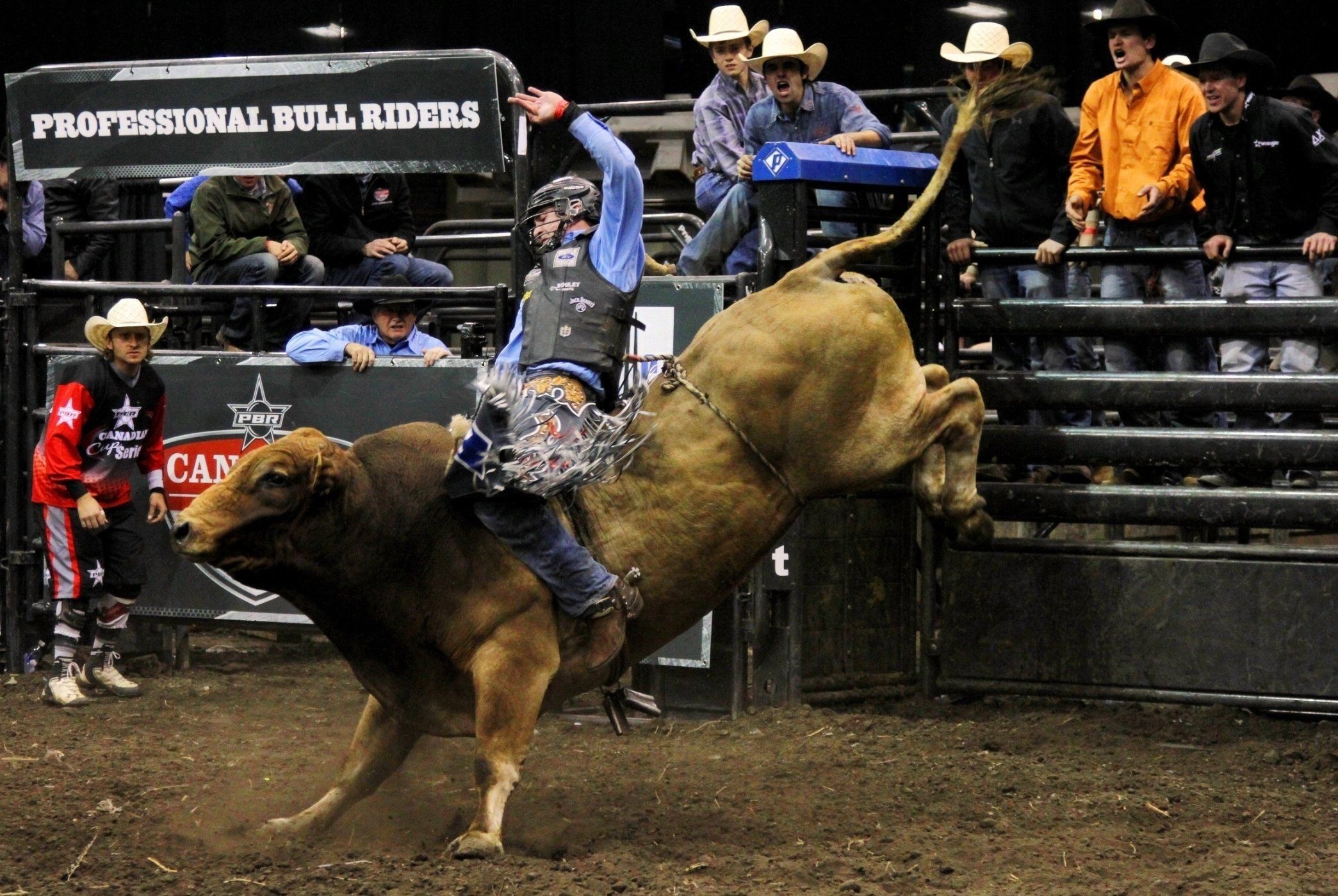 Rodeo action, Breathtaking 4K captures, Adrenaline rush, Skilled cowboys, 2090x1400 HD Desktop