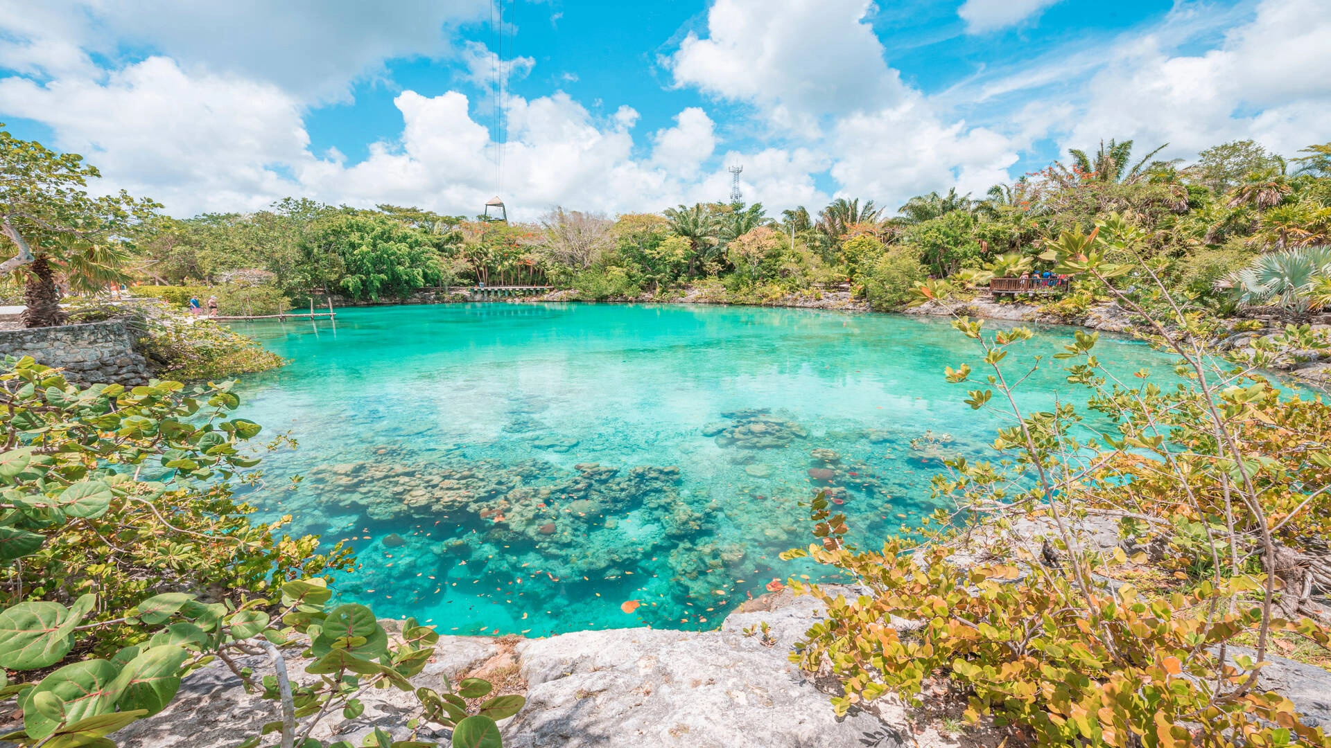 Getting to Cozumel, Transportation guide, Arrival options, Travel information, 1920x1080 Full HD Desktop