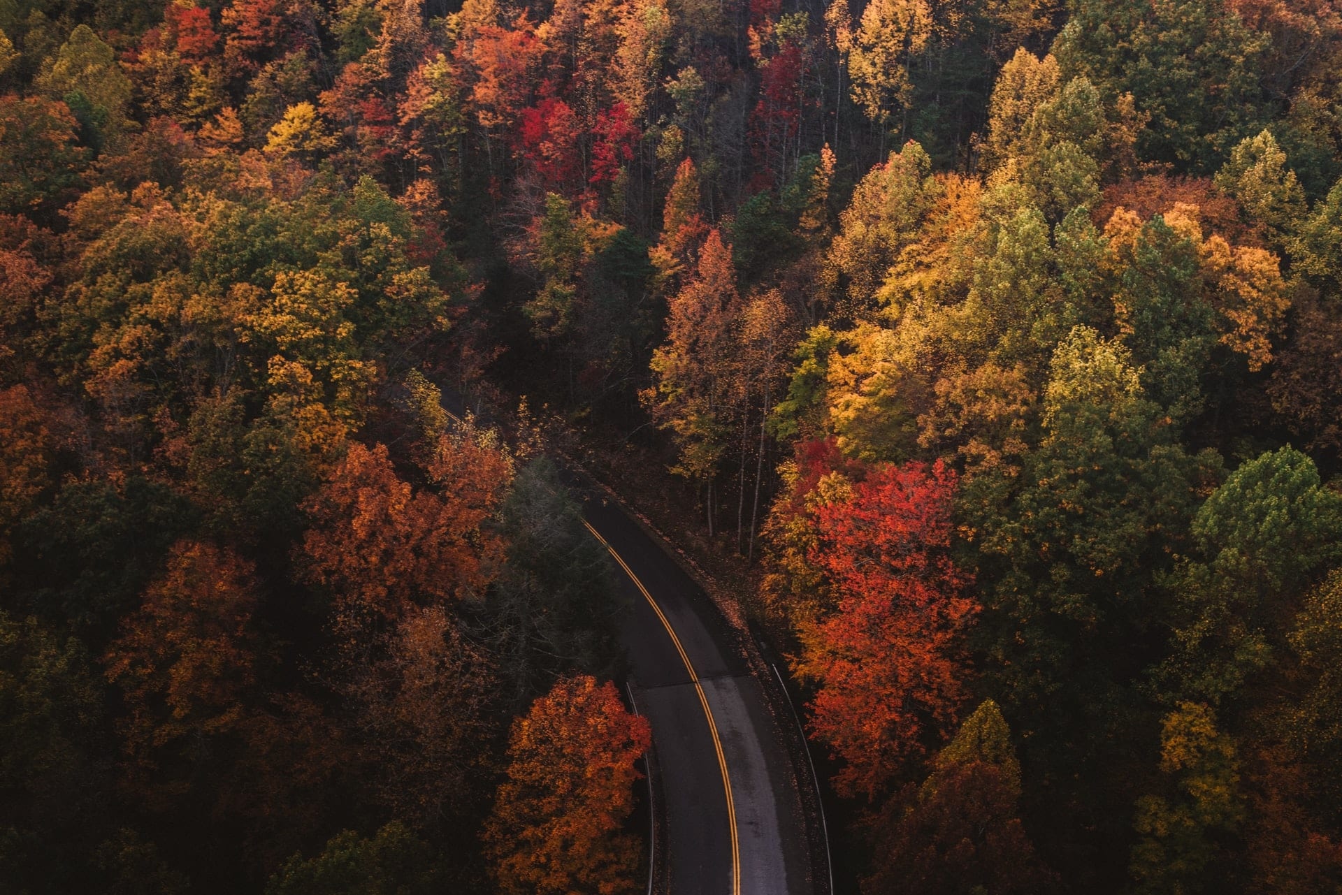 Seasonal imagery, Crisp air visuals, Harvest scenes, Autumnal colors, October themes, 1920x1290 HD Desktop