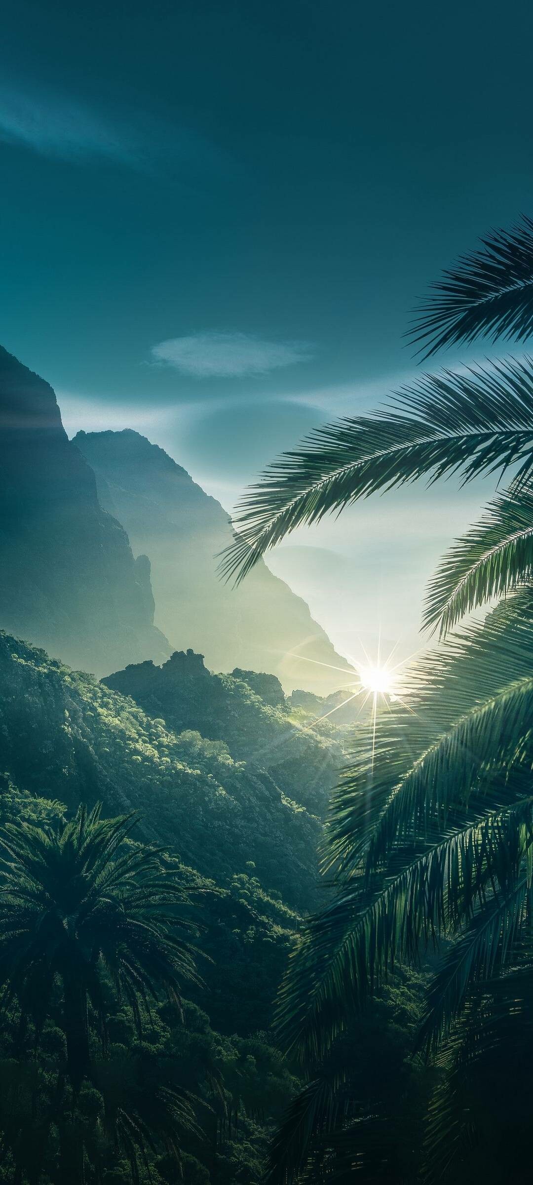 Nature, Sunrise, Palm Tree, Mountain, 1080x2400 HD Phone