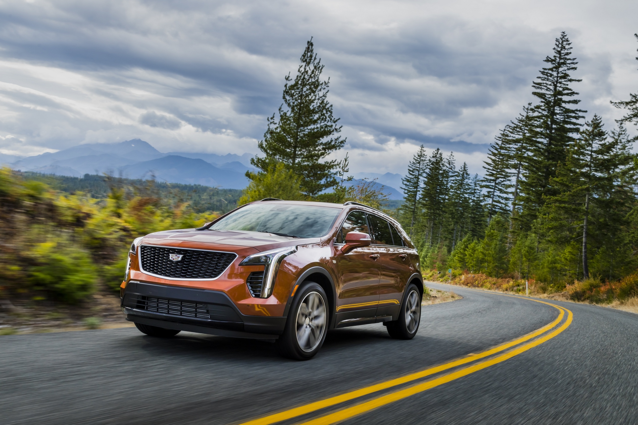 Cadillac XT4, Autohaus Steppe, Elegant design, Premium features, 2560x1710 HD Desktop