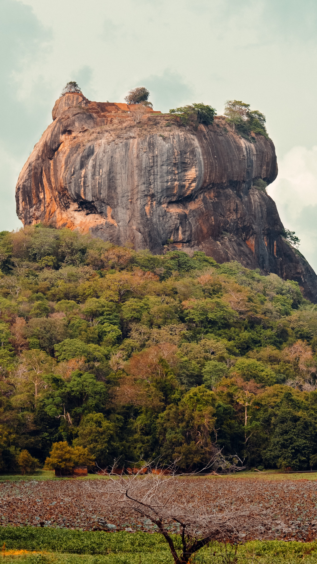 Sigiriya lion rock, Majestic wallpaper, Ancient citadel, Lion's pride, 1080x1920 Full HD Phone