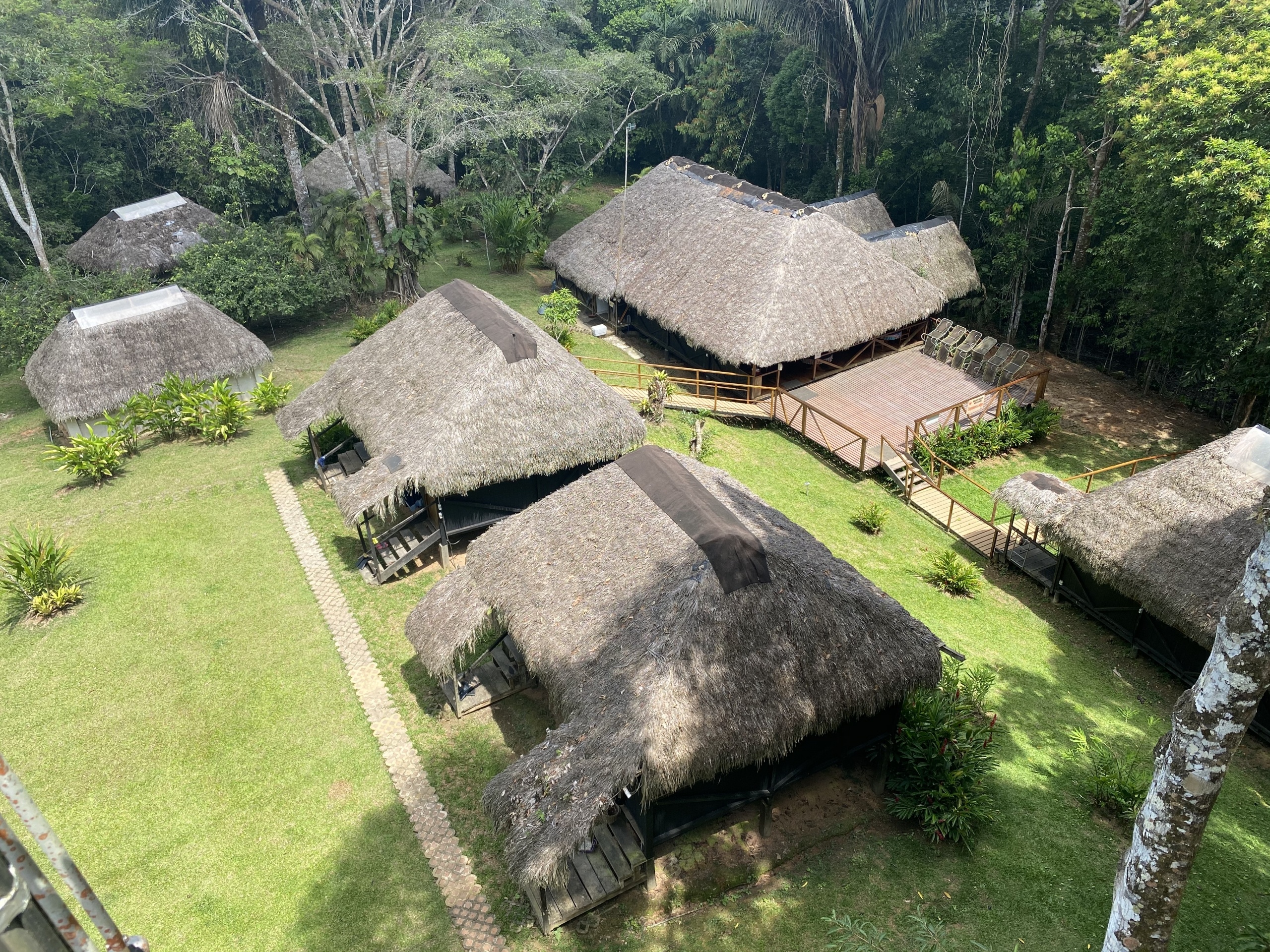 Cuyabeno National Park, Jungle lodge, Ecuador wildlife, Jungle exploration, 2560x1920 HD Desktop