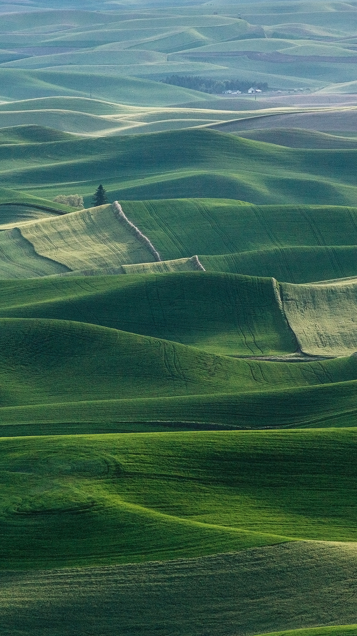 Palouse rolling hills, undulating green farmland, distant farmhouse cluster, HD Phone wallpaper
