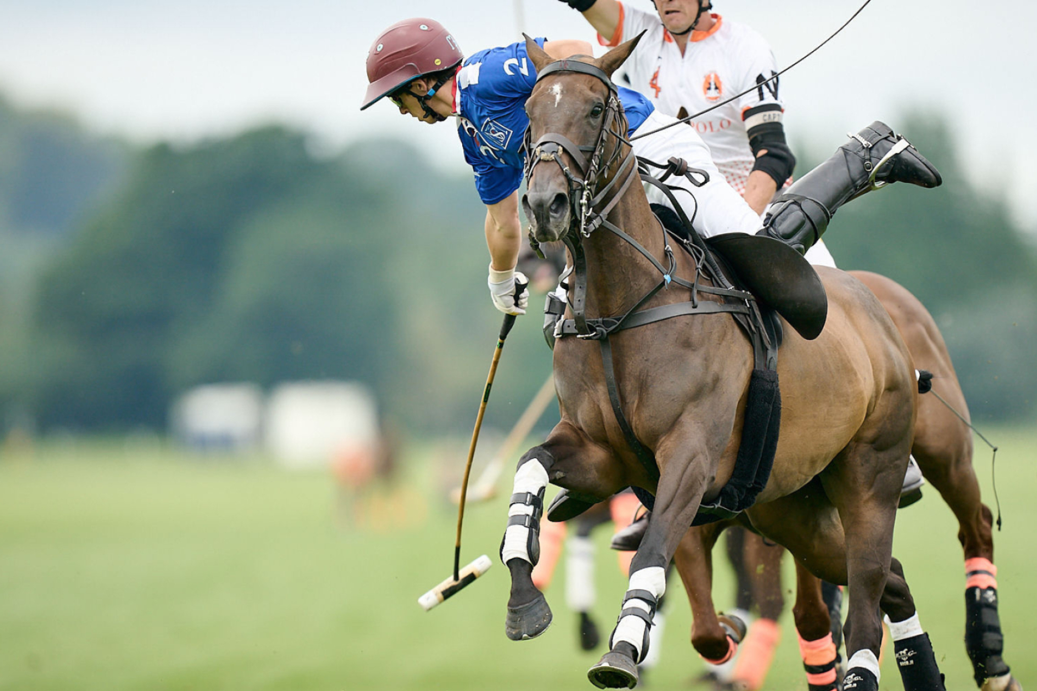 Gold Cup quarterfinalists, Elite polo teams, Polo Lady feature, Polo competition, 2050x1370 HD Desktop