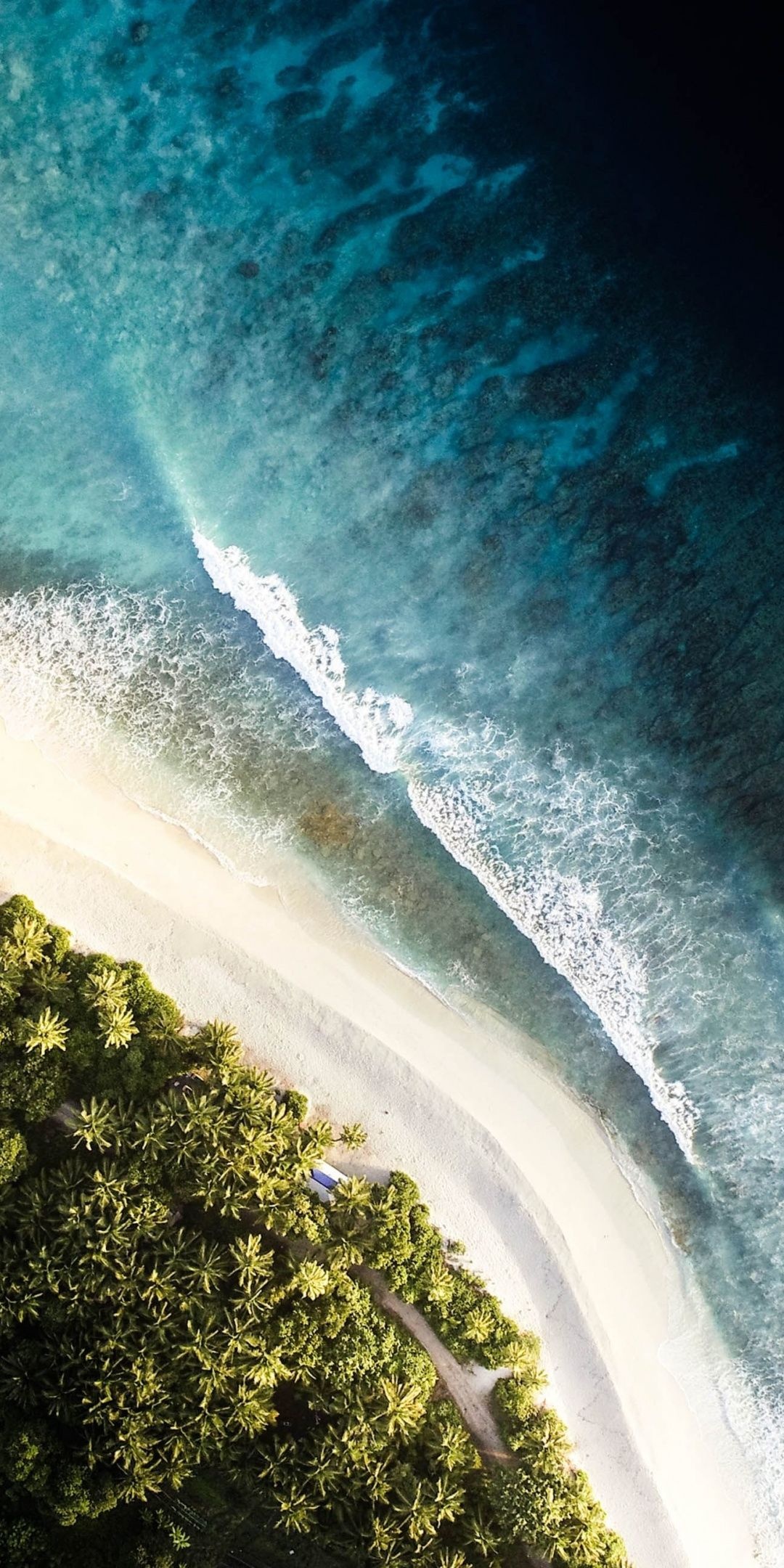 aerial tropical shoreline, breaking turquoise ocean wave, coastal palm tree canopy, HD Phone wallpaper
