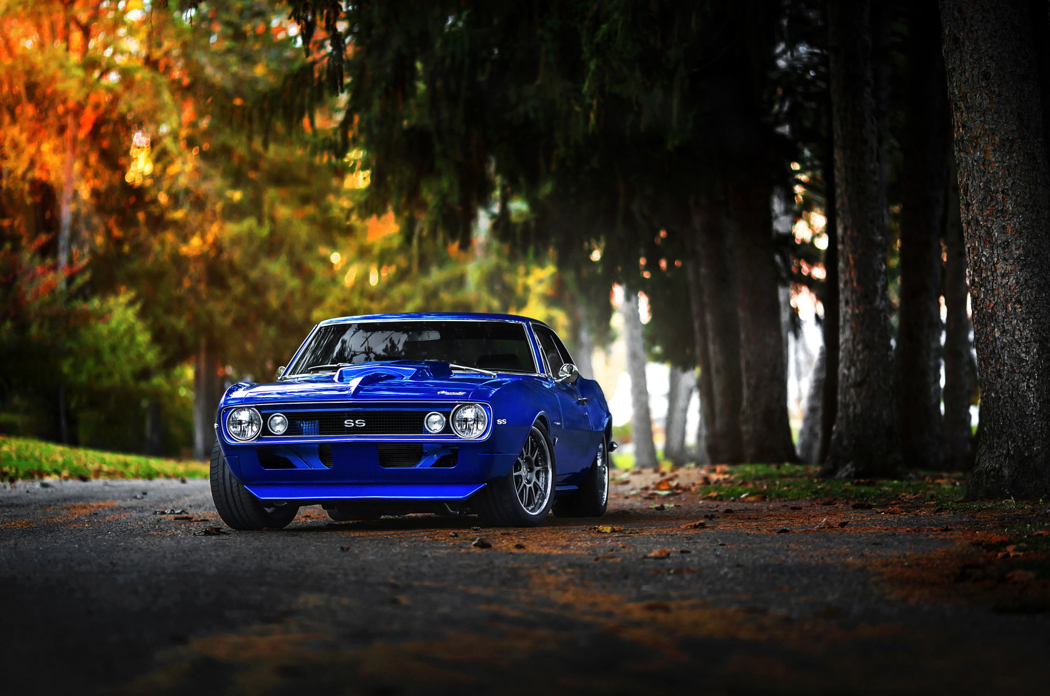 1968 Chevrolet Camaro SS, SS emblem, autumn tree-lined road, HD Desktop wallpaper