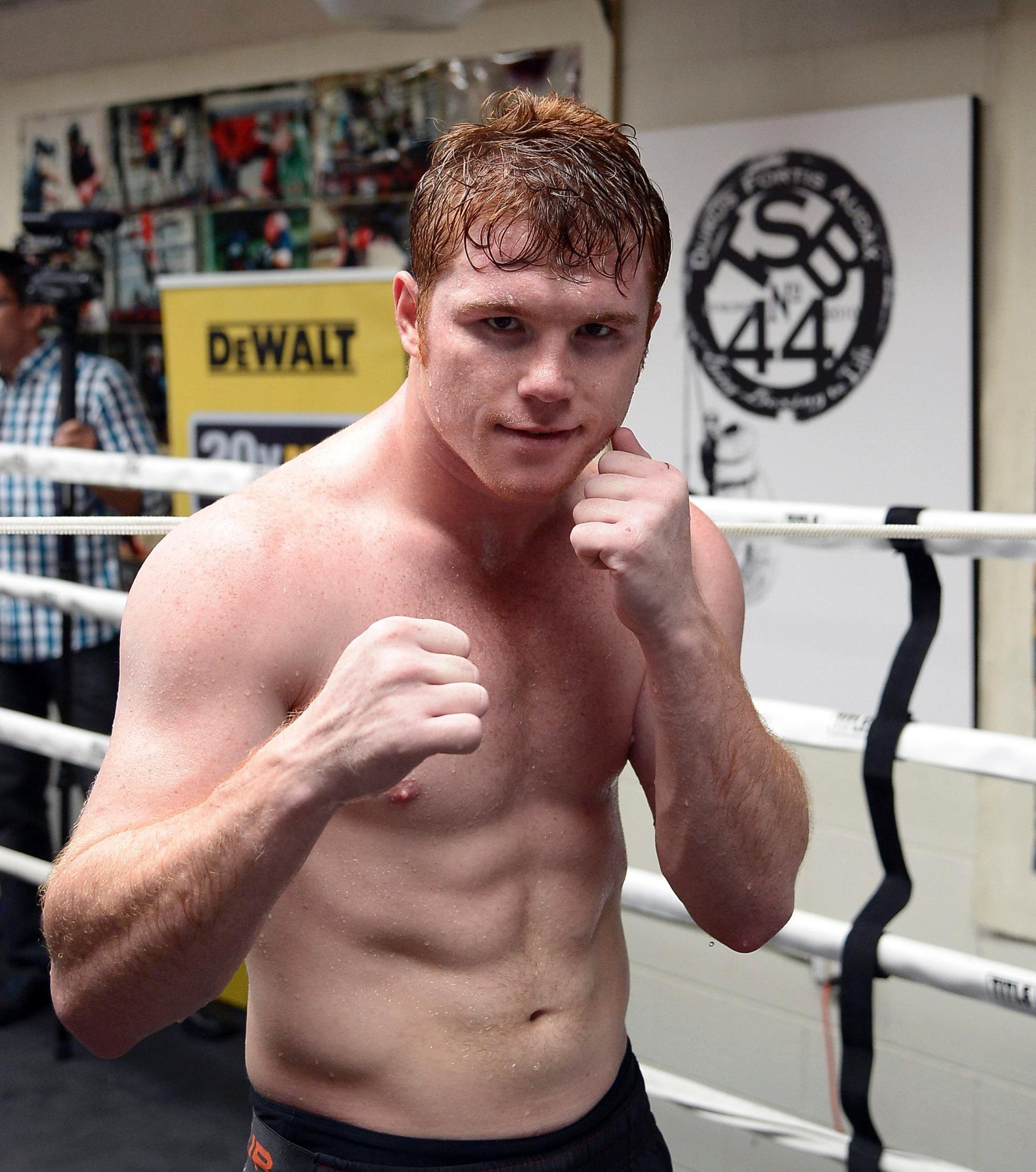 Canelo Alvarez, Stylish wallpapers, Canelo fan art, Best images, 1920x2180 HD Phone