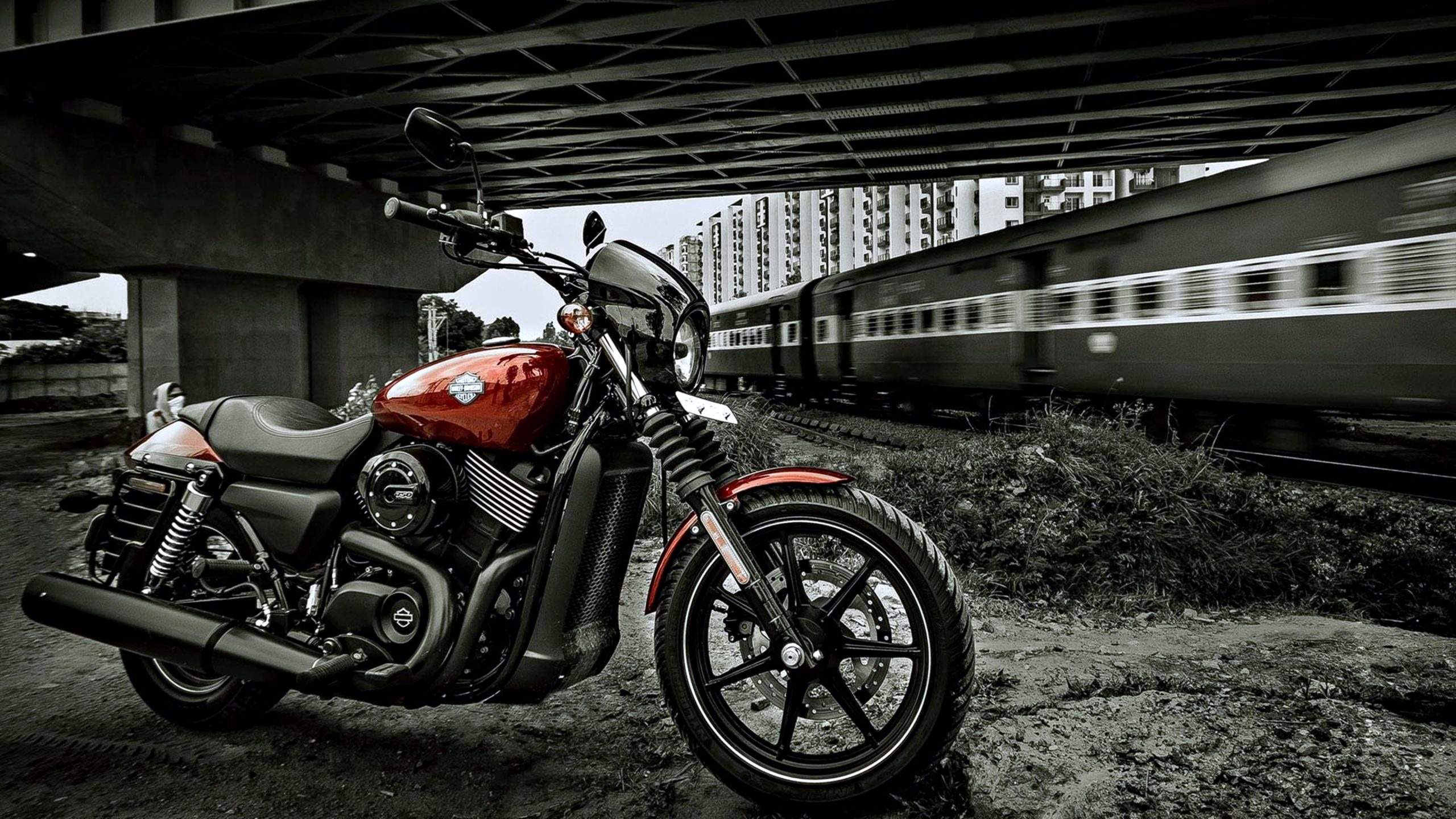 Street 750 2016, Harley Bikes Wallpaper, 2560x1440 HD Desktop