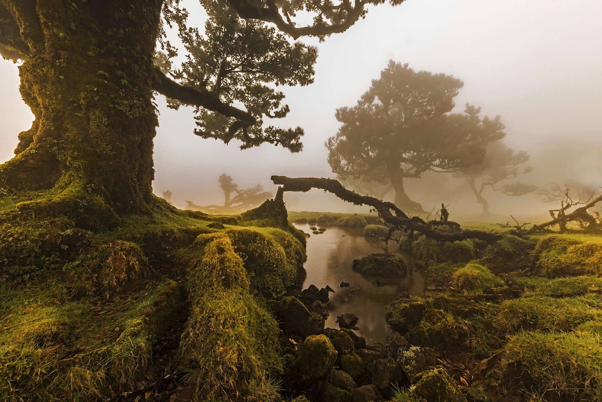 Madeira Travels, Nature's beauty, Stunning landscapes, Mesmerizing views, 1920x1290 HD Desktop