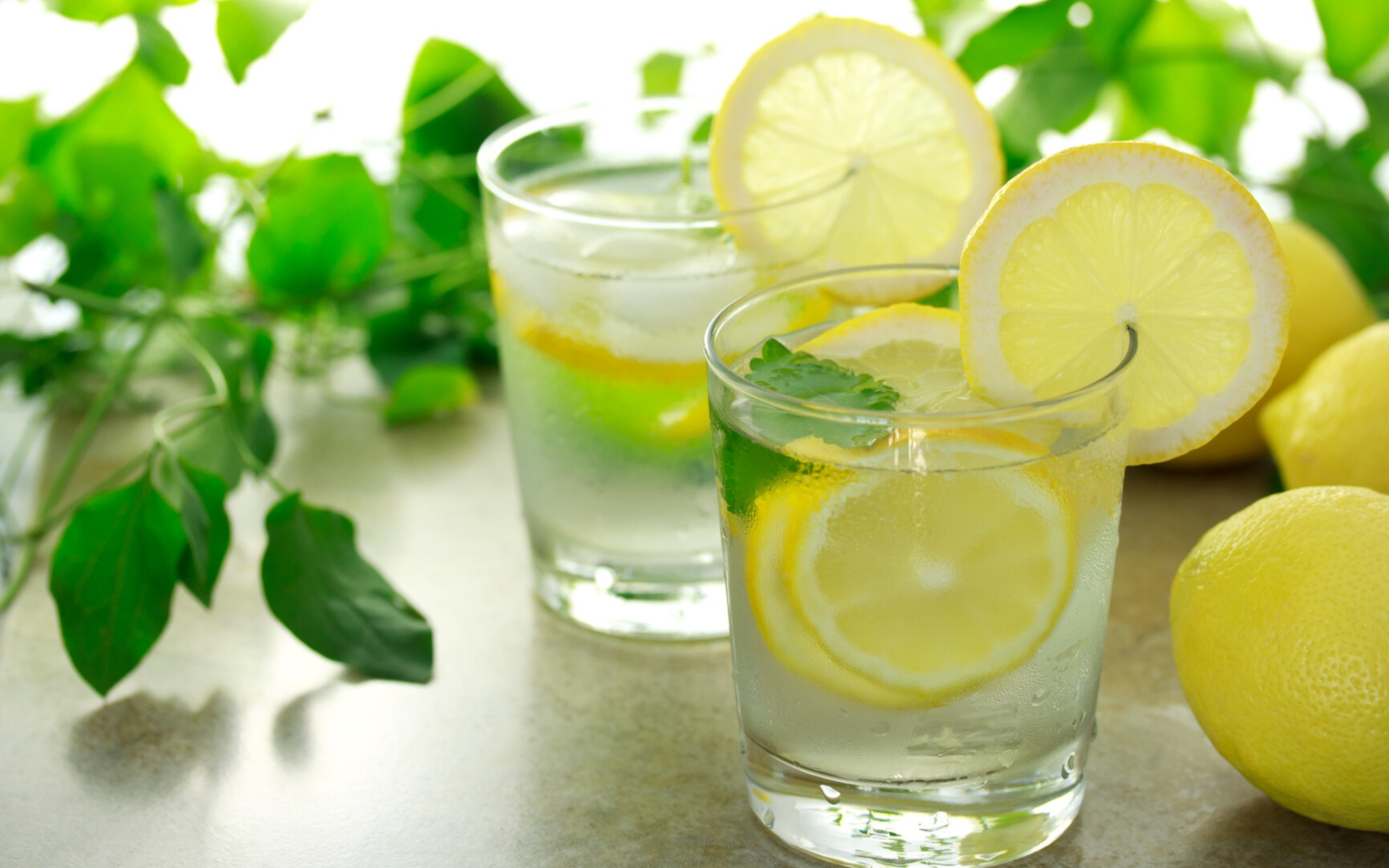 Lemonade wallpapers, Lemon slices, Mint garnish, Quality high-resolution images, 1920x1200 HD Desktop