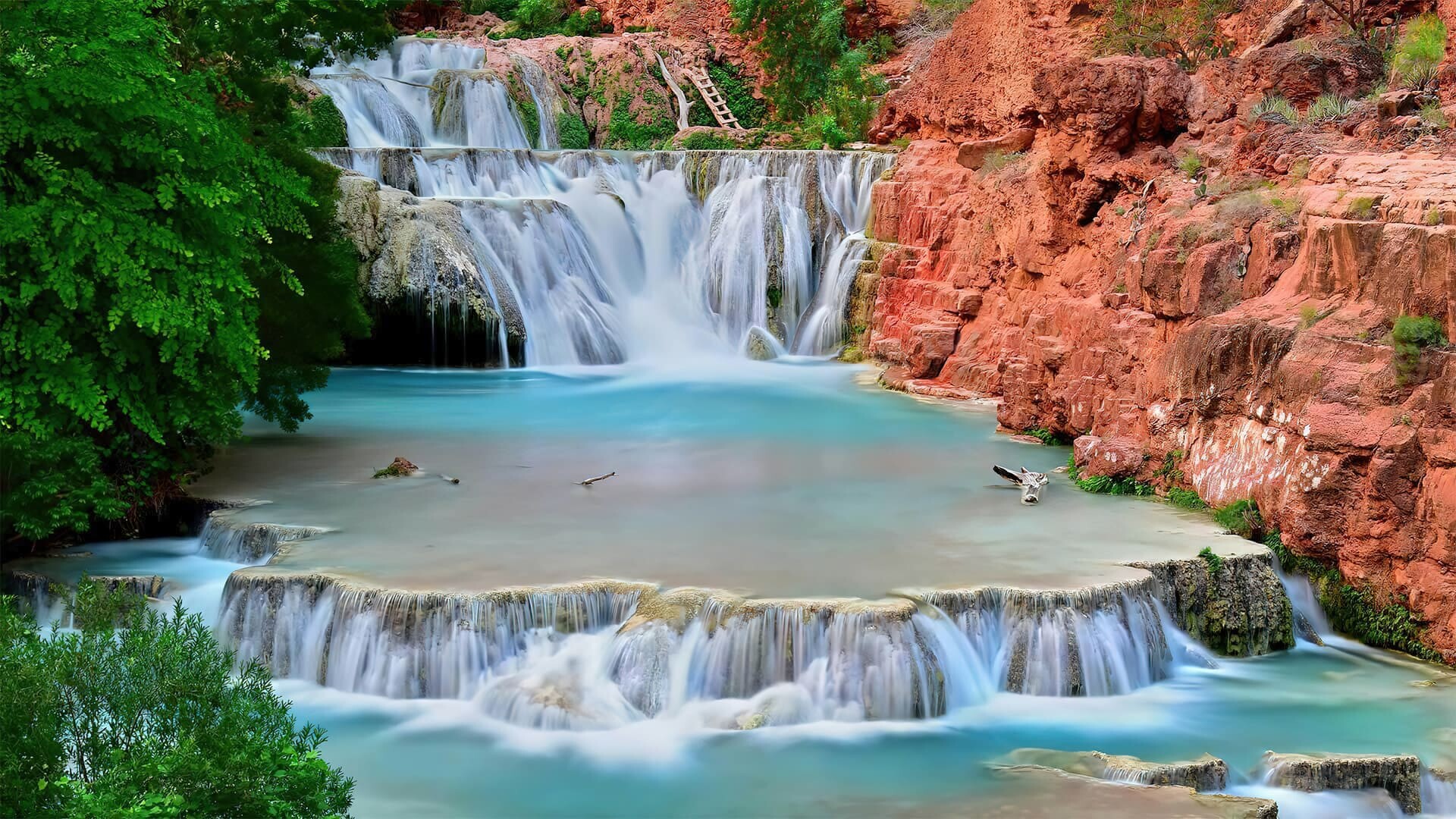 Beaver, Waterfalls Wallpaper, 1920x1080 Full HD Desktop