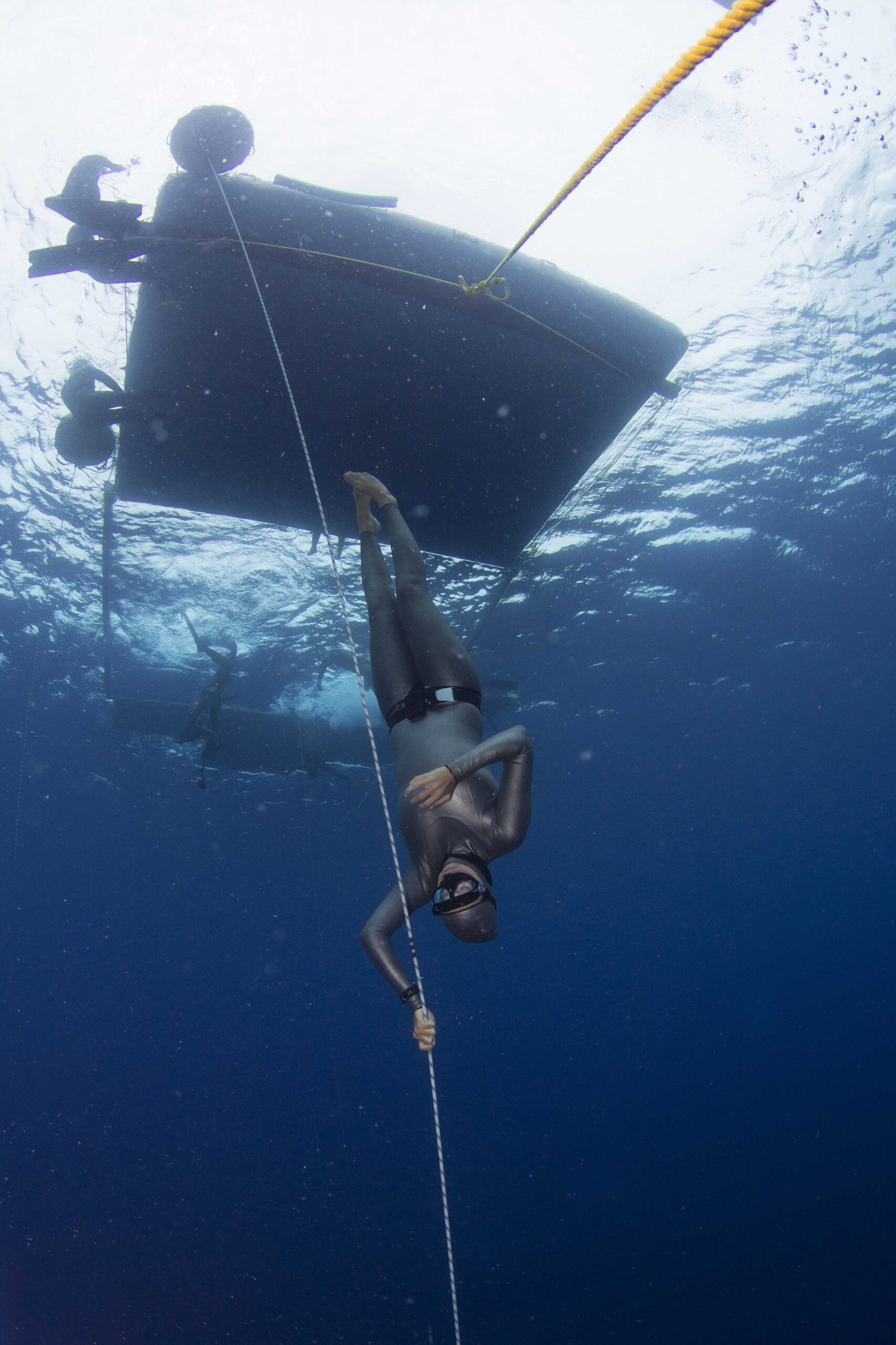 Freediving, Sports,Freediving Bonaire,Ocean Connection, 1710x2560 HD Phone