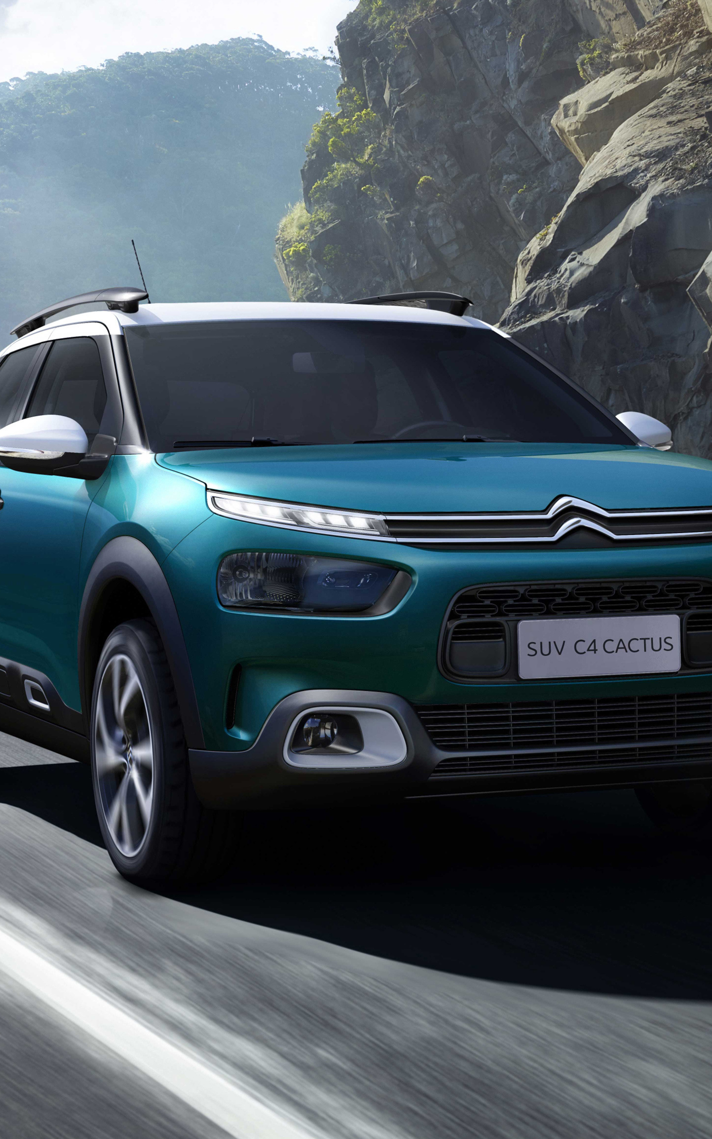 Citroen C4, Download 2018 Car On Road, Citroen C4 Cactus, 1440x2310 HD Phone