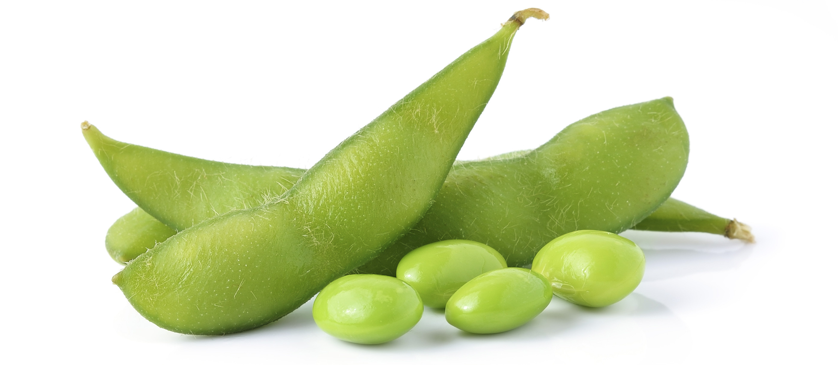 Edamame, Local, Japanese, Soybeans, 2800x1220 Dual Screen Desktop