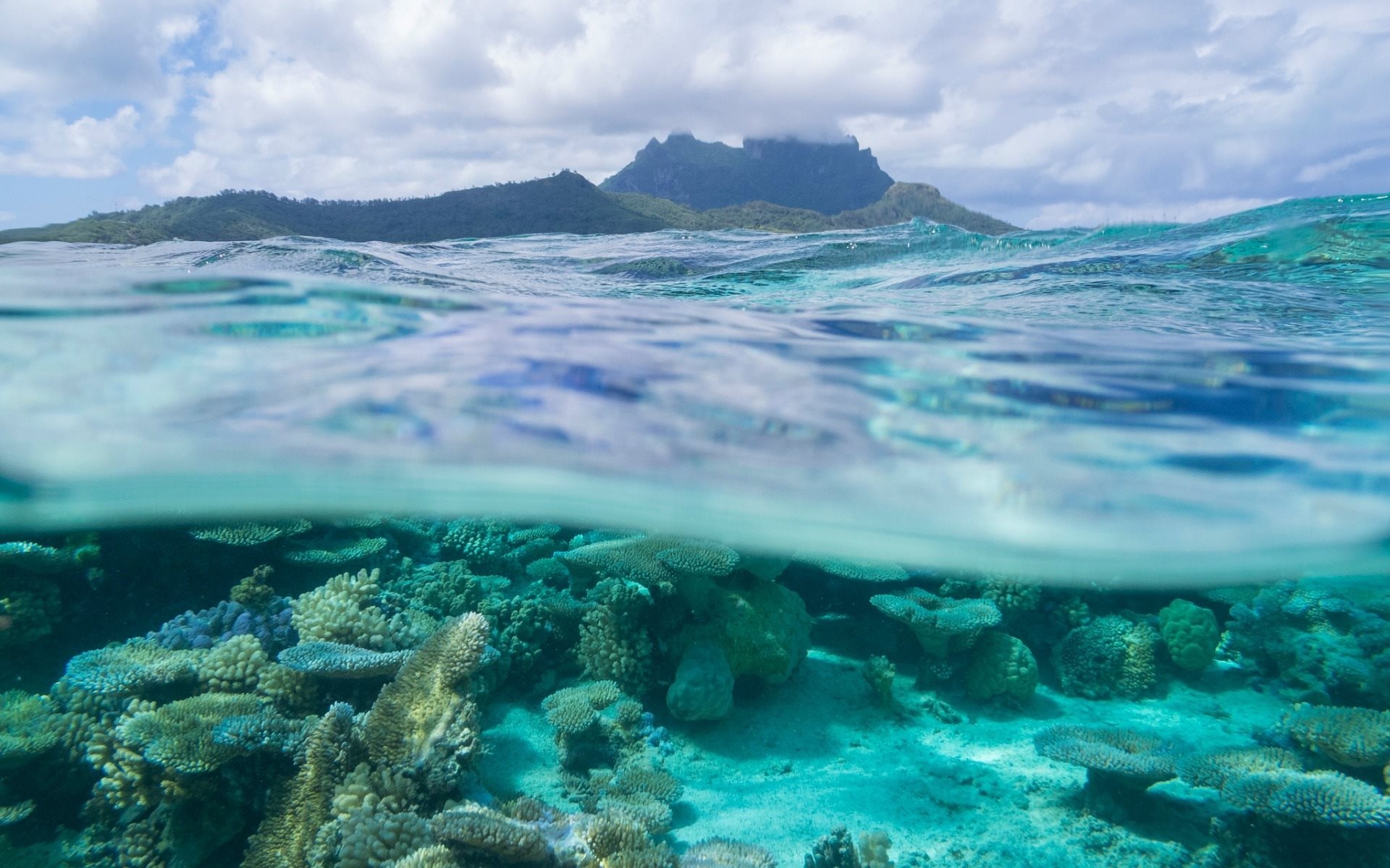 Coral reef, Bora Bora Wallpaper, 1920x1200 HD Desktop