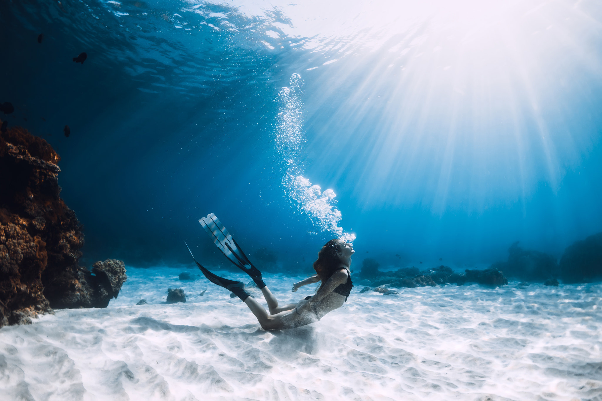 Sea bottom, Diving Wallpaper, 2050x1370 HD Desktop