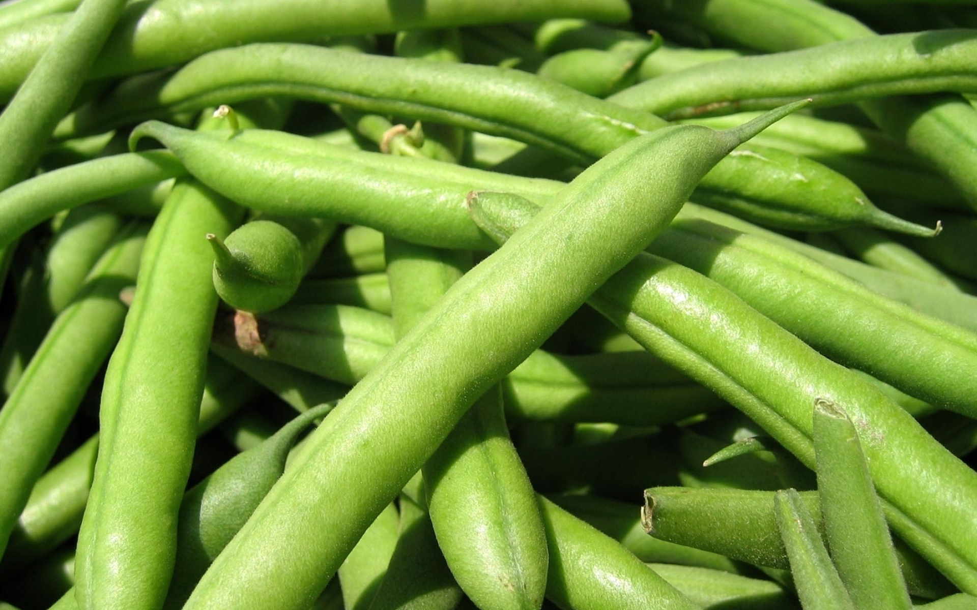 Green beans wallpaper, Vibrant green beauty, Nature's bounty, Freshly picked, 1920x1200 HD Desktop