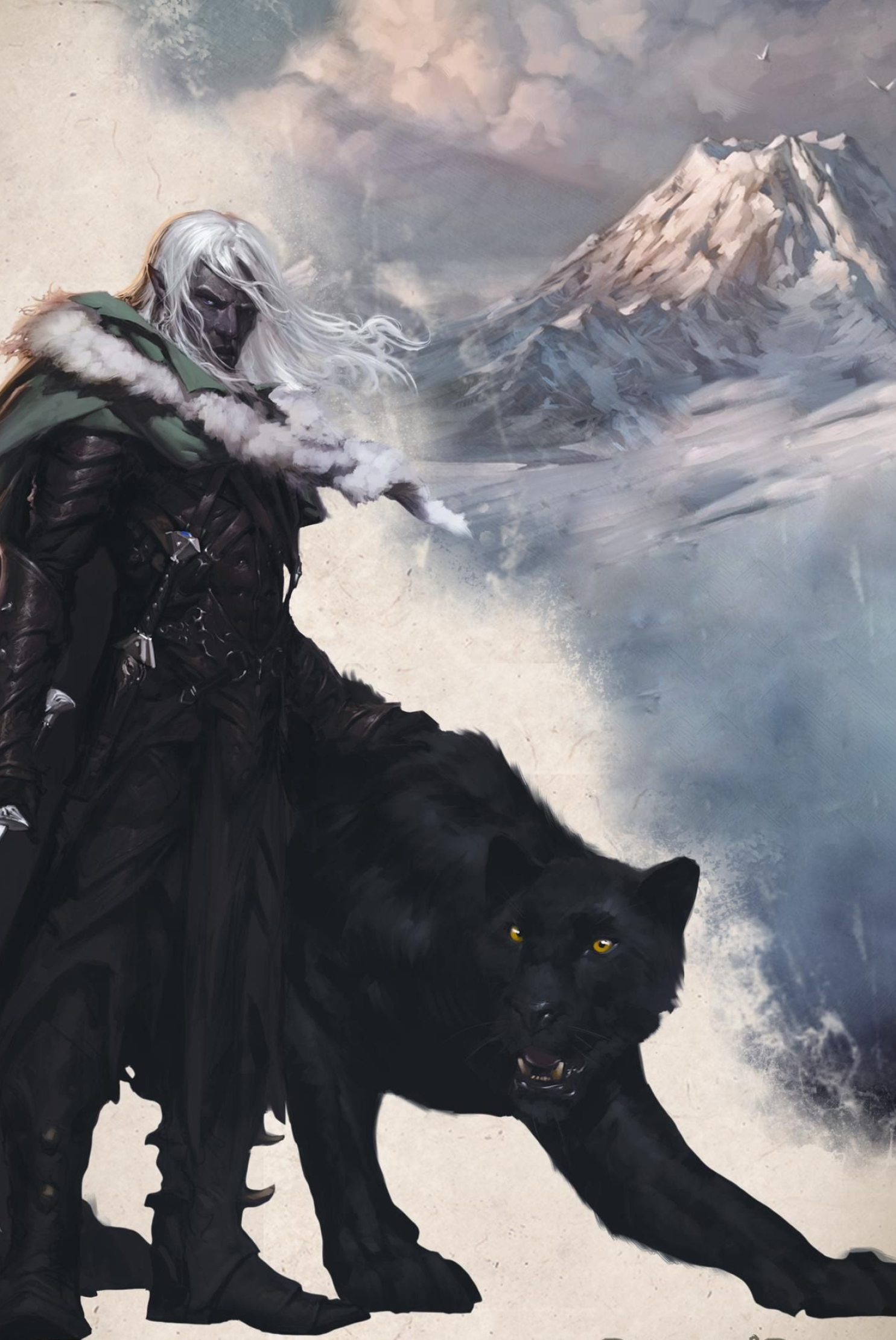 Legend of Drizzt, Drizzt Dourden, Dark elf, Forgotten realms, 1490x2220 HD Phone