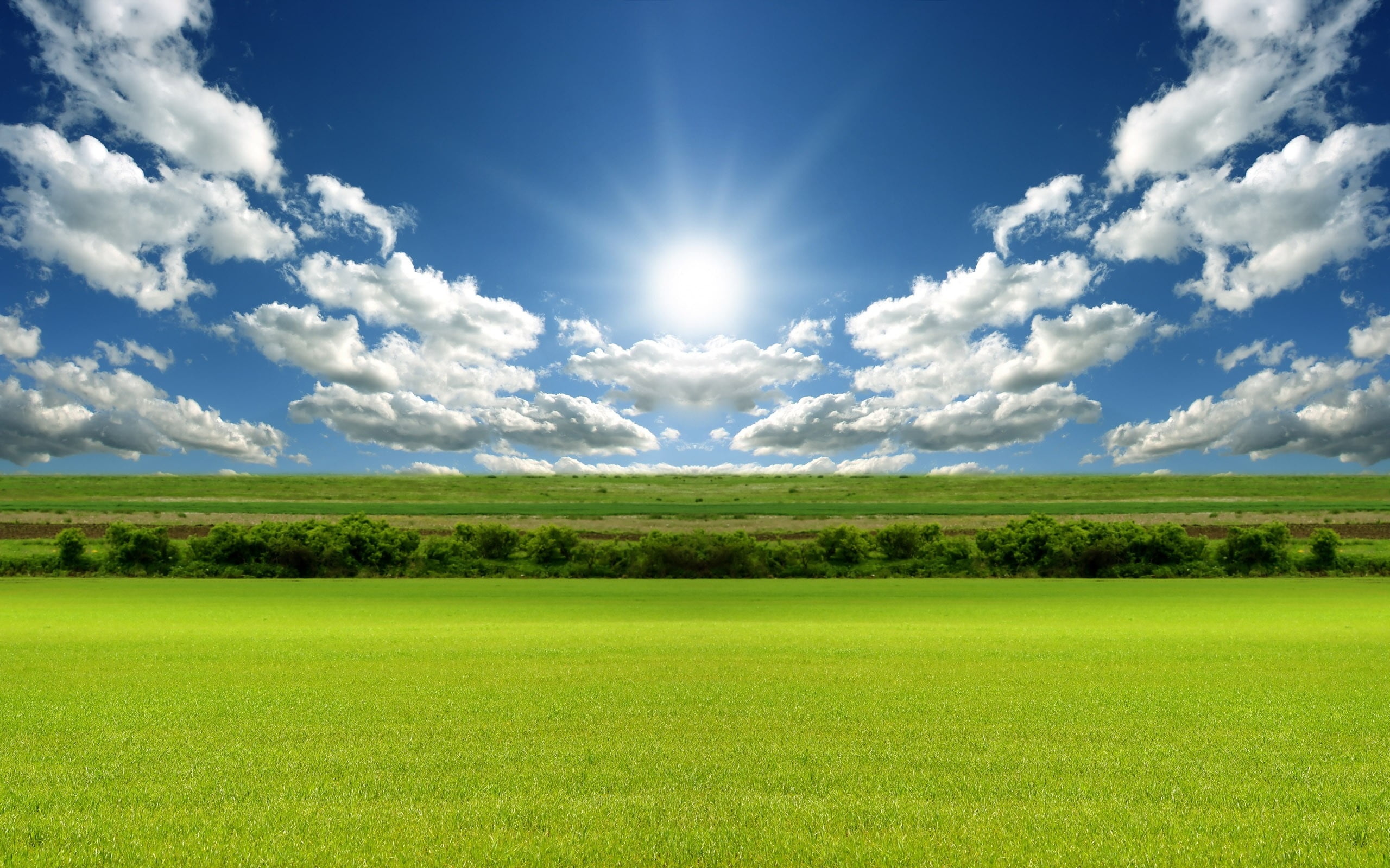 Landscape photography, Green grass field, Blue sky, White clouds, 2560x1600 HD Desktop