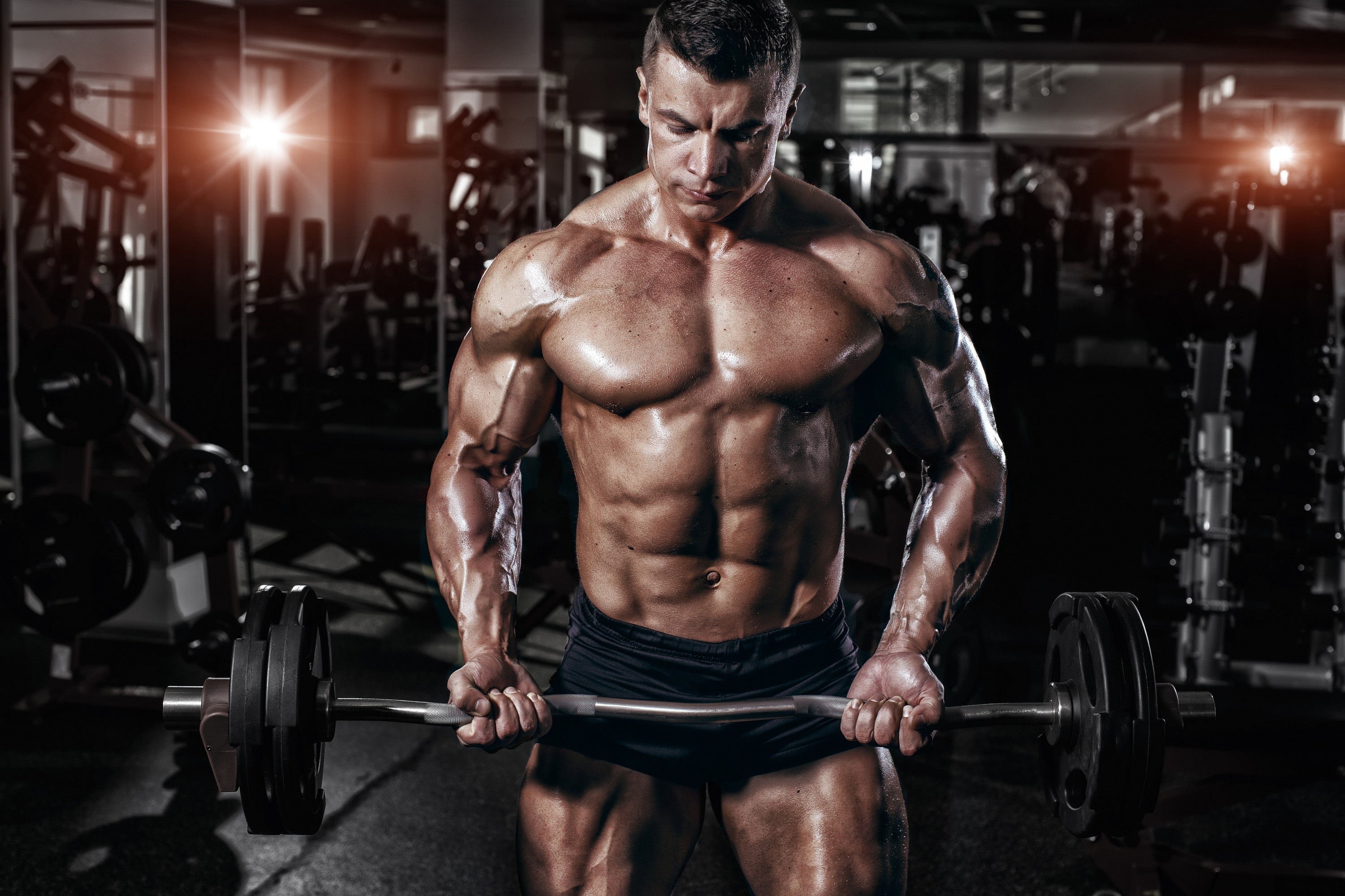 Muscular male bodybuilder, EZ curl barbell, Gym fitness room, HD Desktop wallpaper