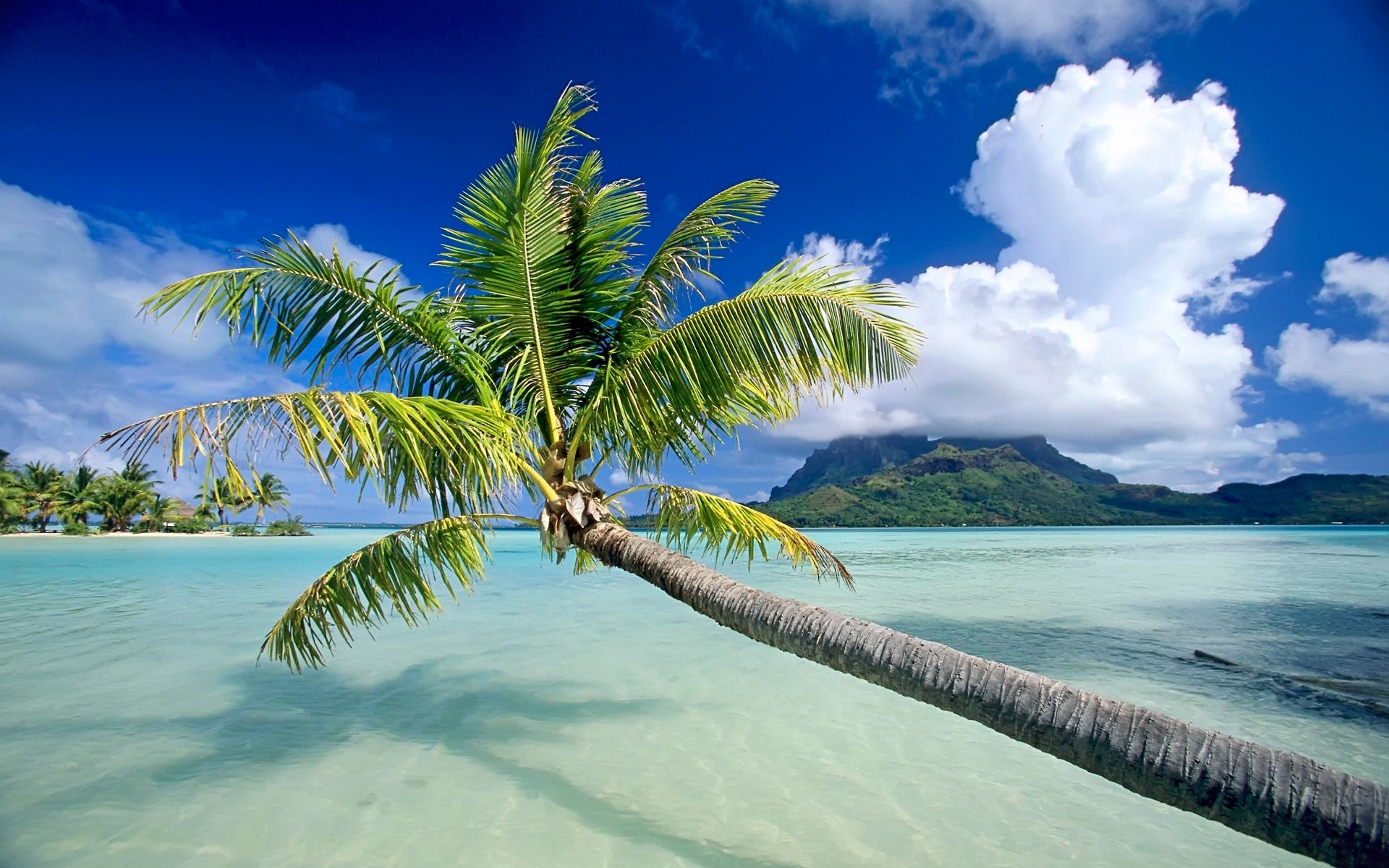 Windows wallpapers, Bora Bora island, Tropical landscapes, Coastal serenity, 1920x1200 HD Desktop