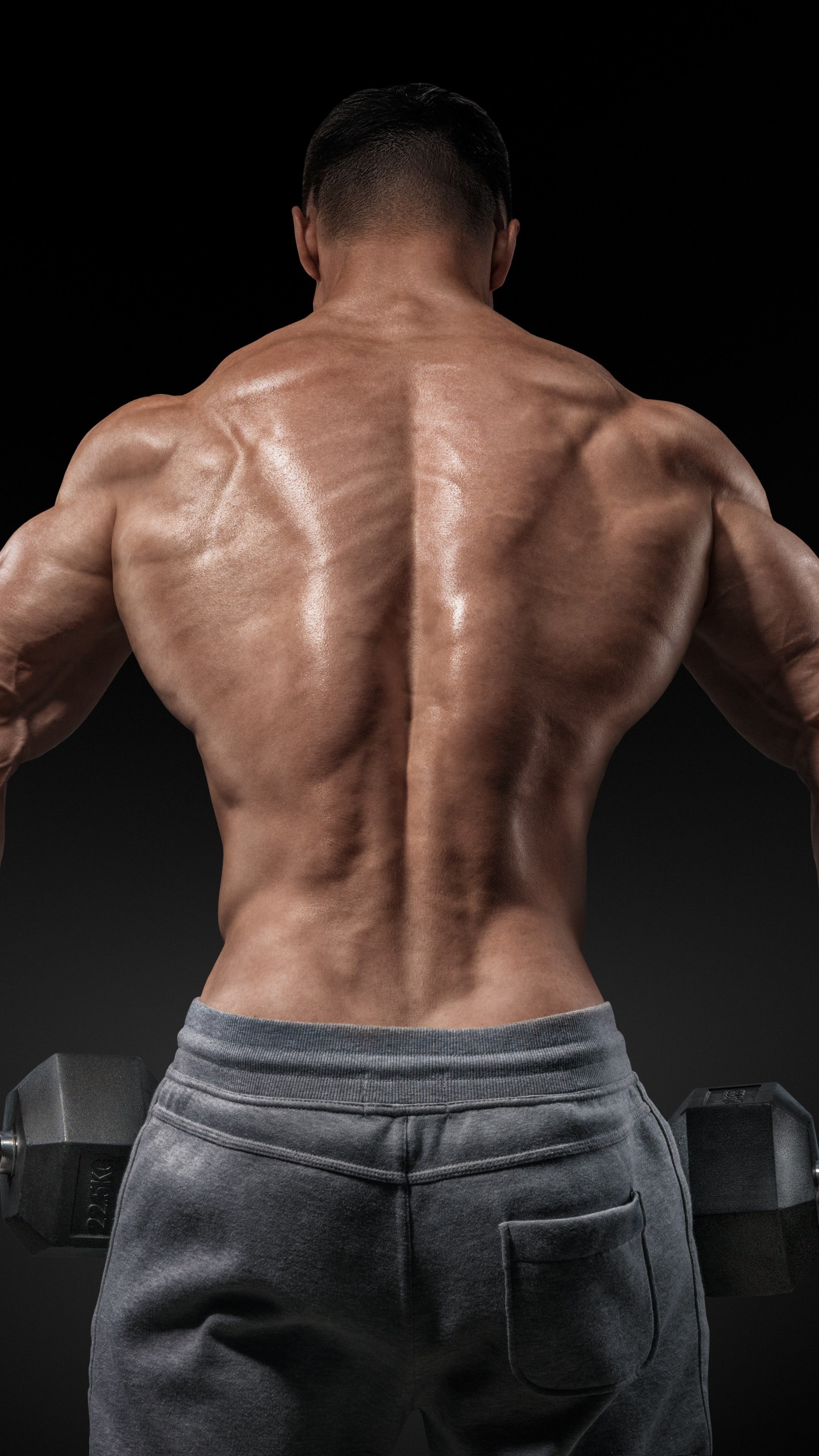 Muscular male back, Hexagonal dumbbell, Dark studio background, 4K Phone wallpaper