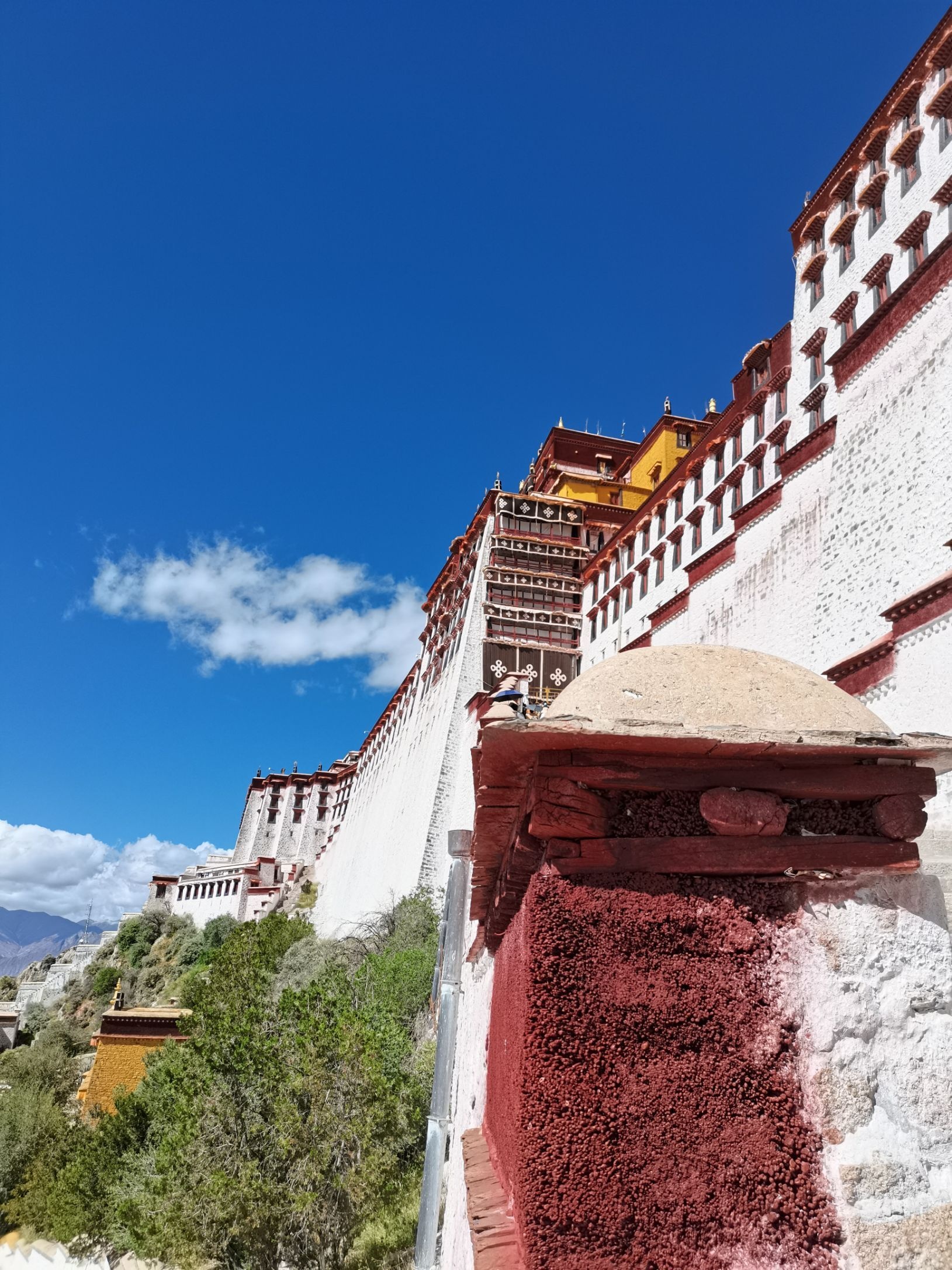 Potala Palace, Llasa, Travels, Buddhist Heritage, 1630x2180 HD Phone