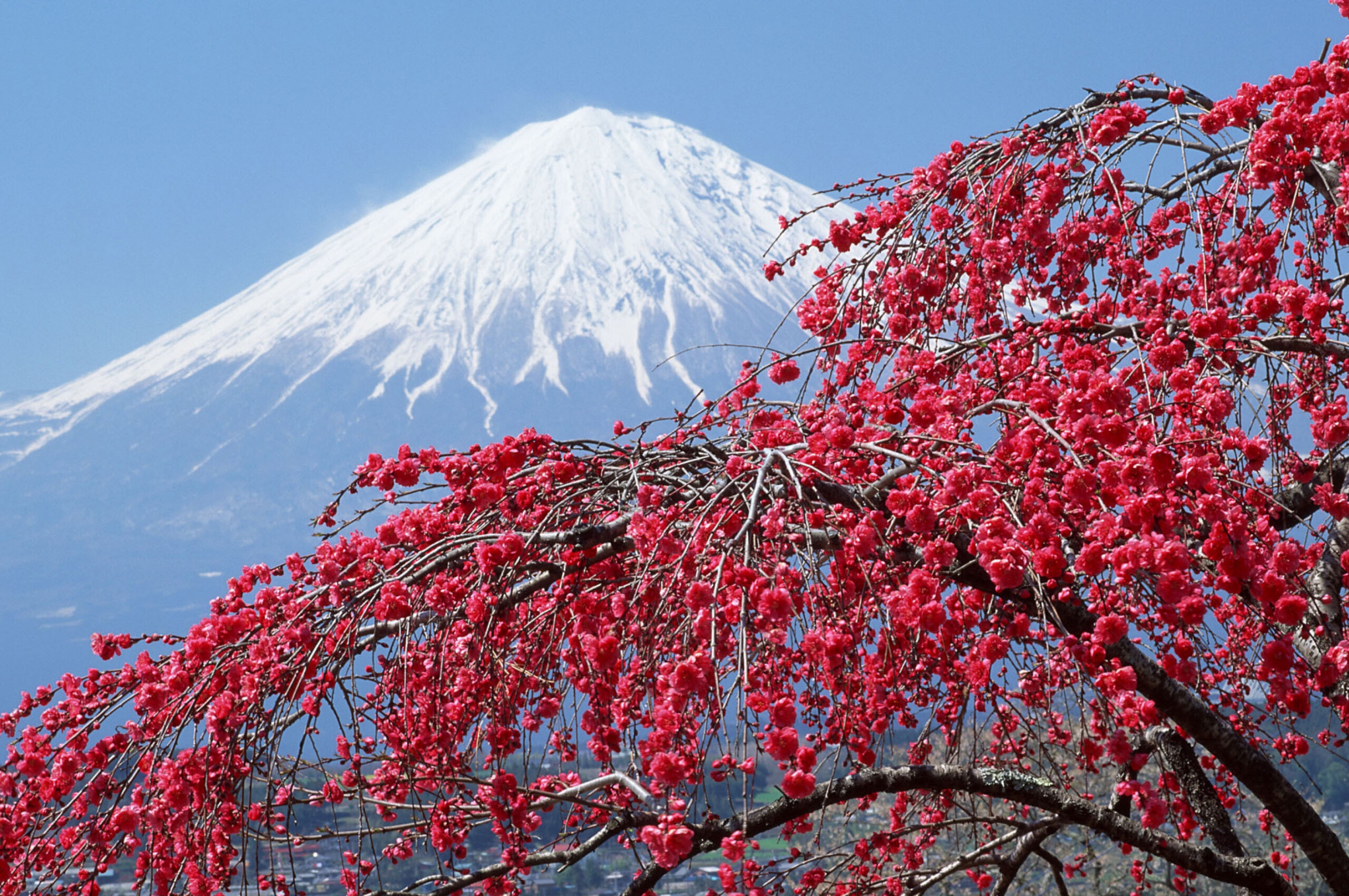 Japan Travels, Japan Sakura mountains wallpaper, 2560x1700 HD Desktop