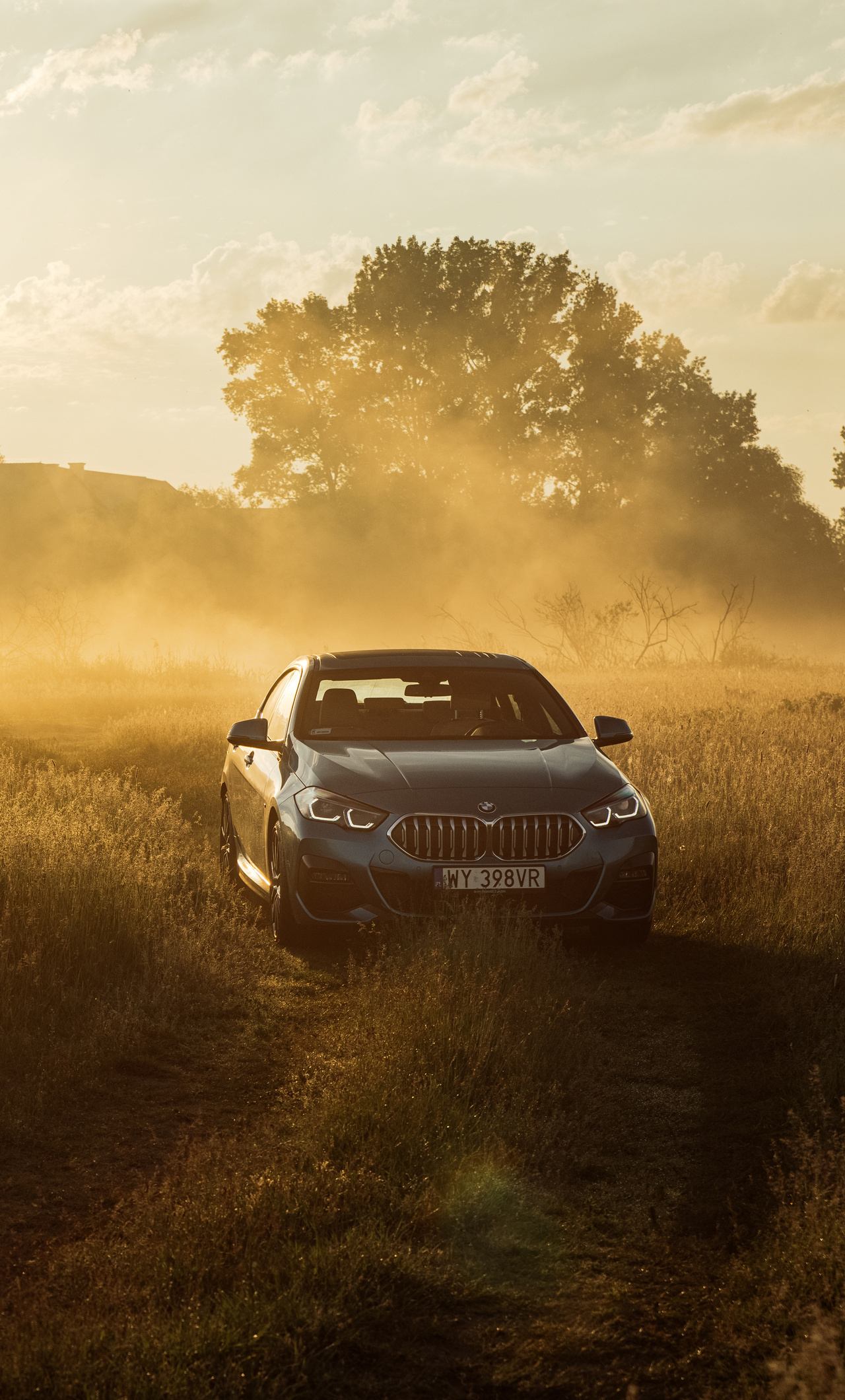 BMW 2 Series Gran Coupé, Misty golden sunrise field, Sunlit grassy meadow, HD Phone wallpaper